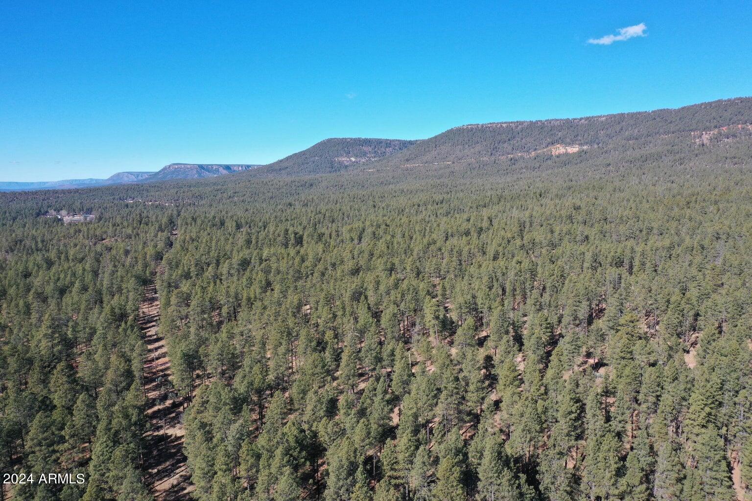 Gordon Canyon - Land