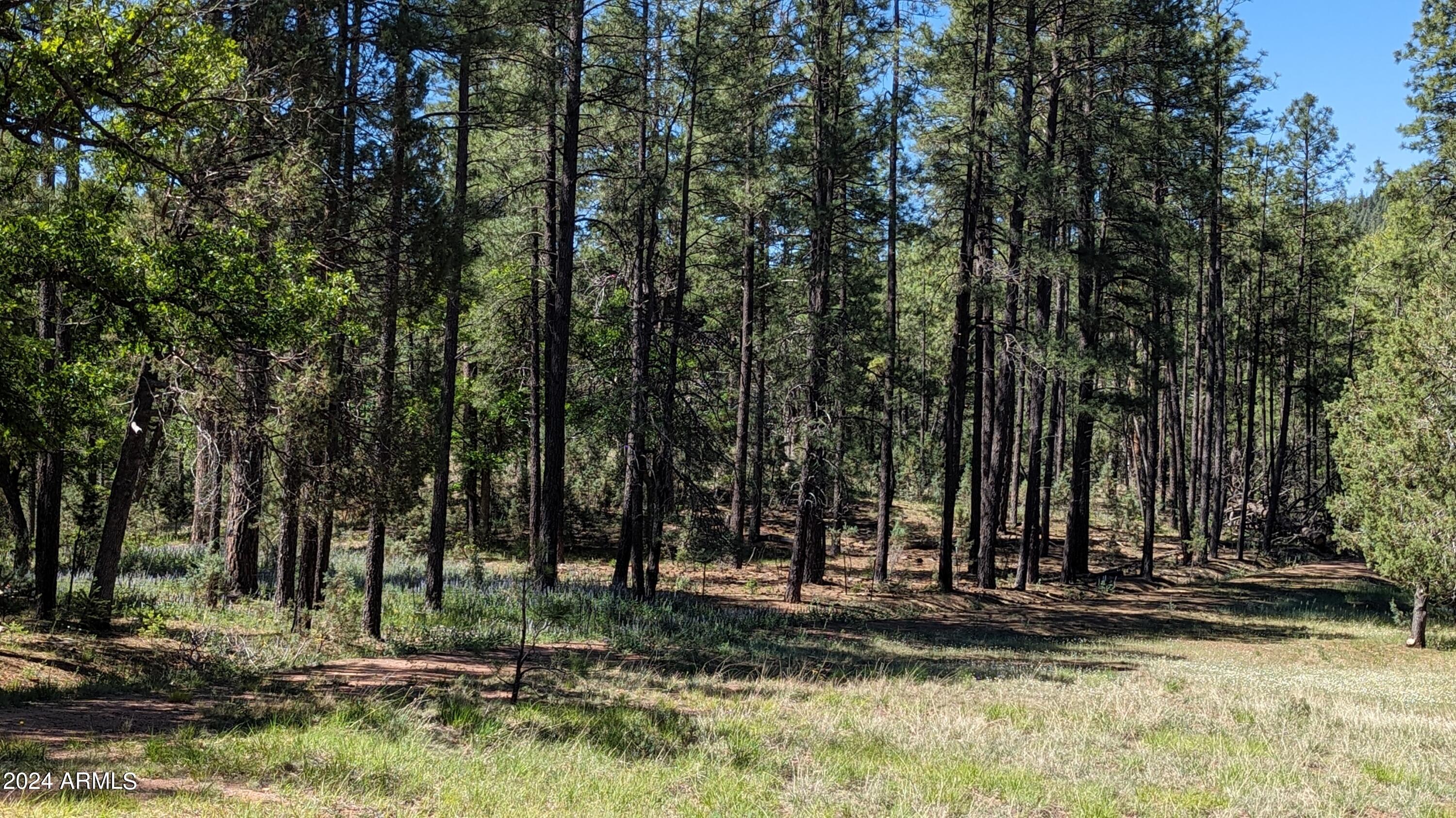 Gordon Canyon - Land