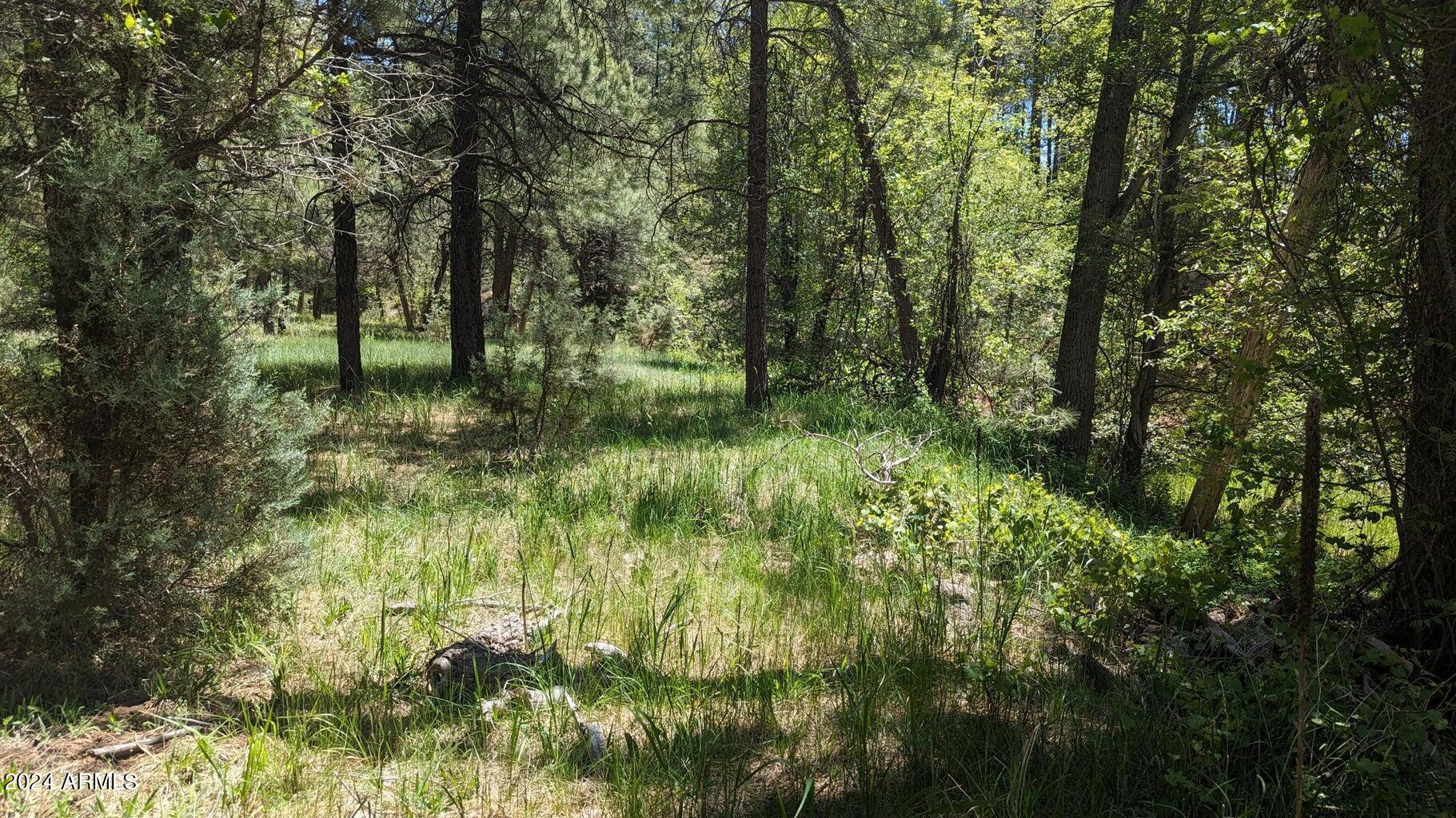 Gordon Canyon - Land