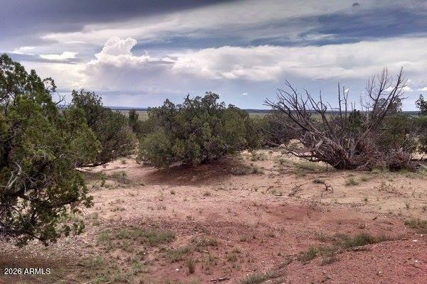 WOODLAND VALLEY RANCH UNIT 1 - Land