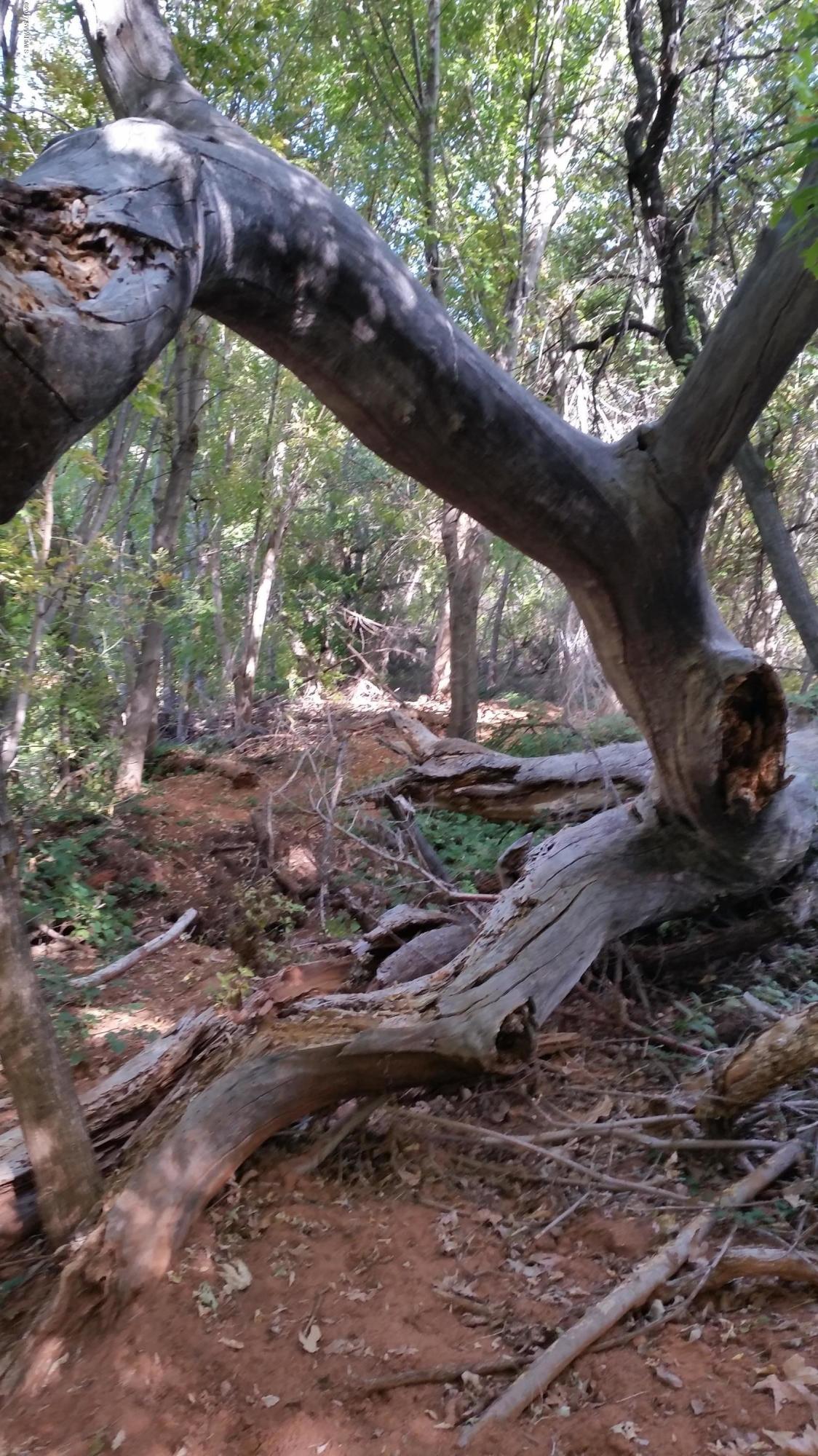 5 Acres or More - Land