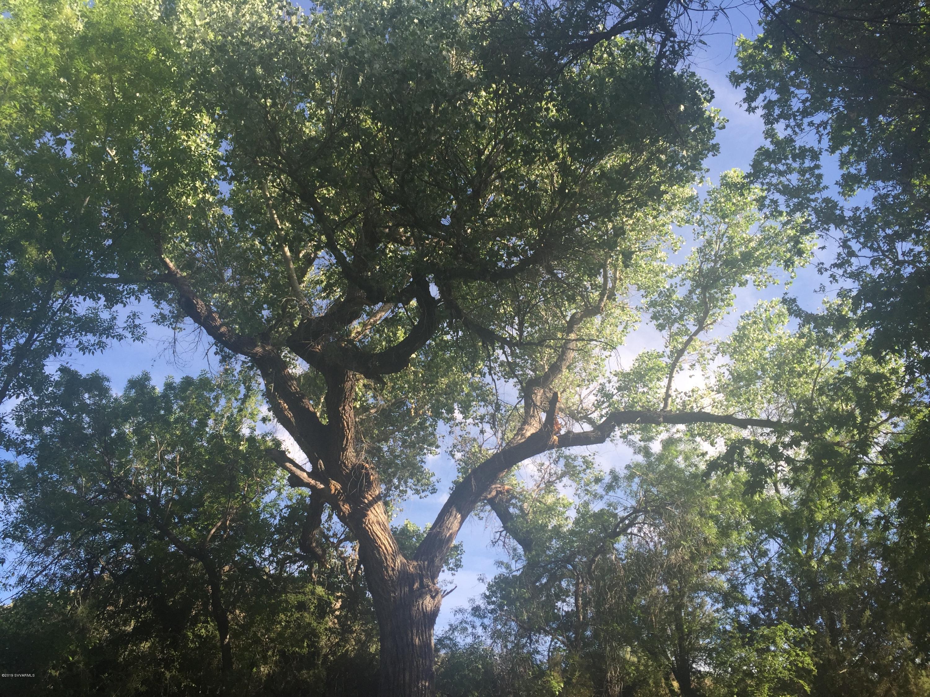 5 Acres or More - Land