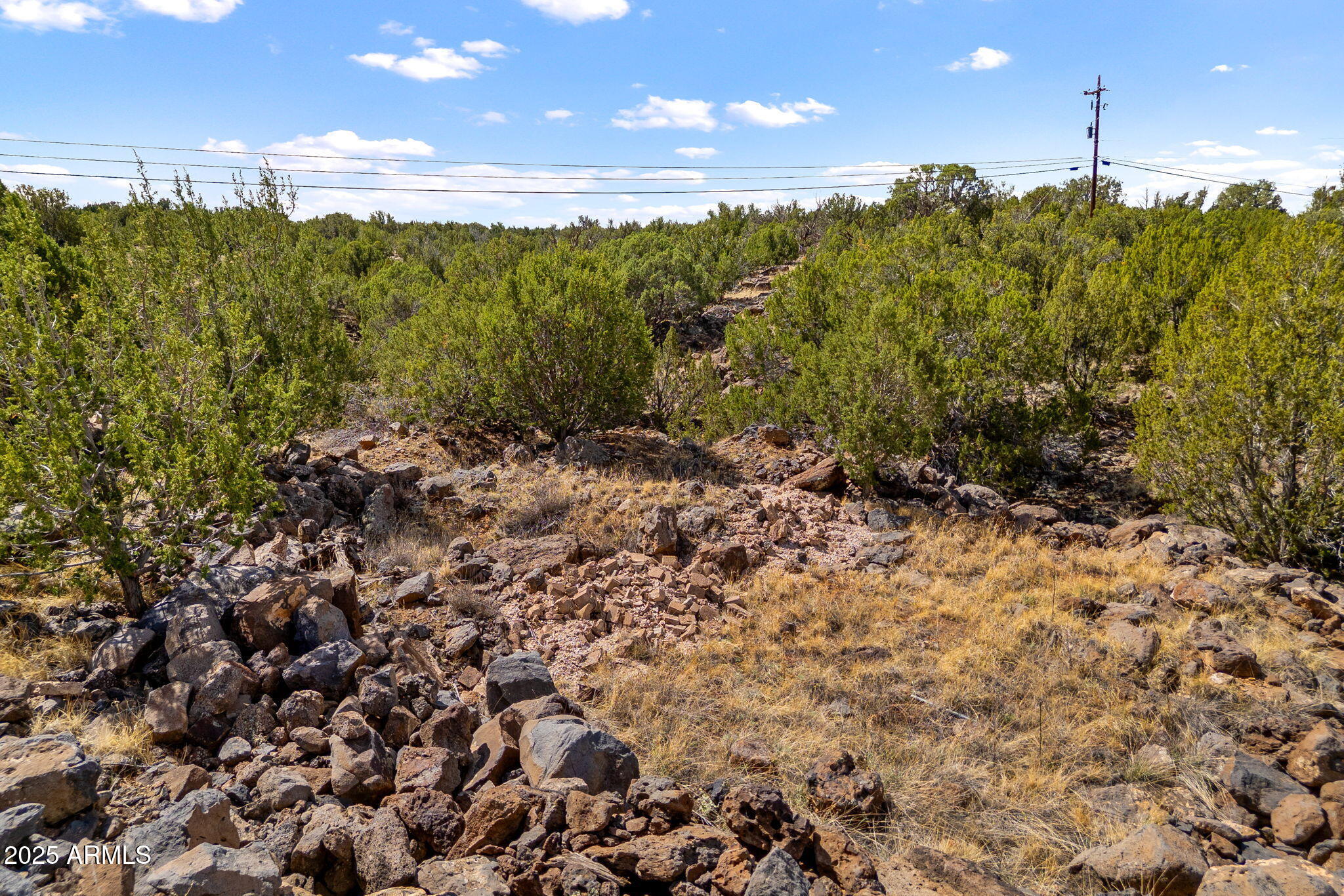 WHITE MOUNTAIN LAKES UNIT 11 - Land
