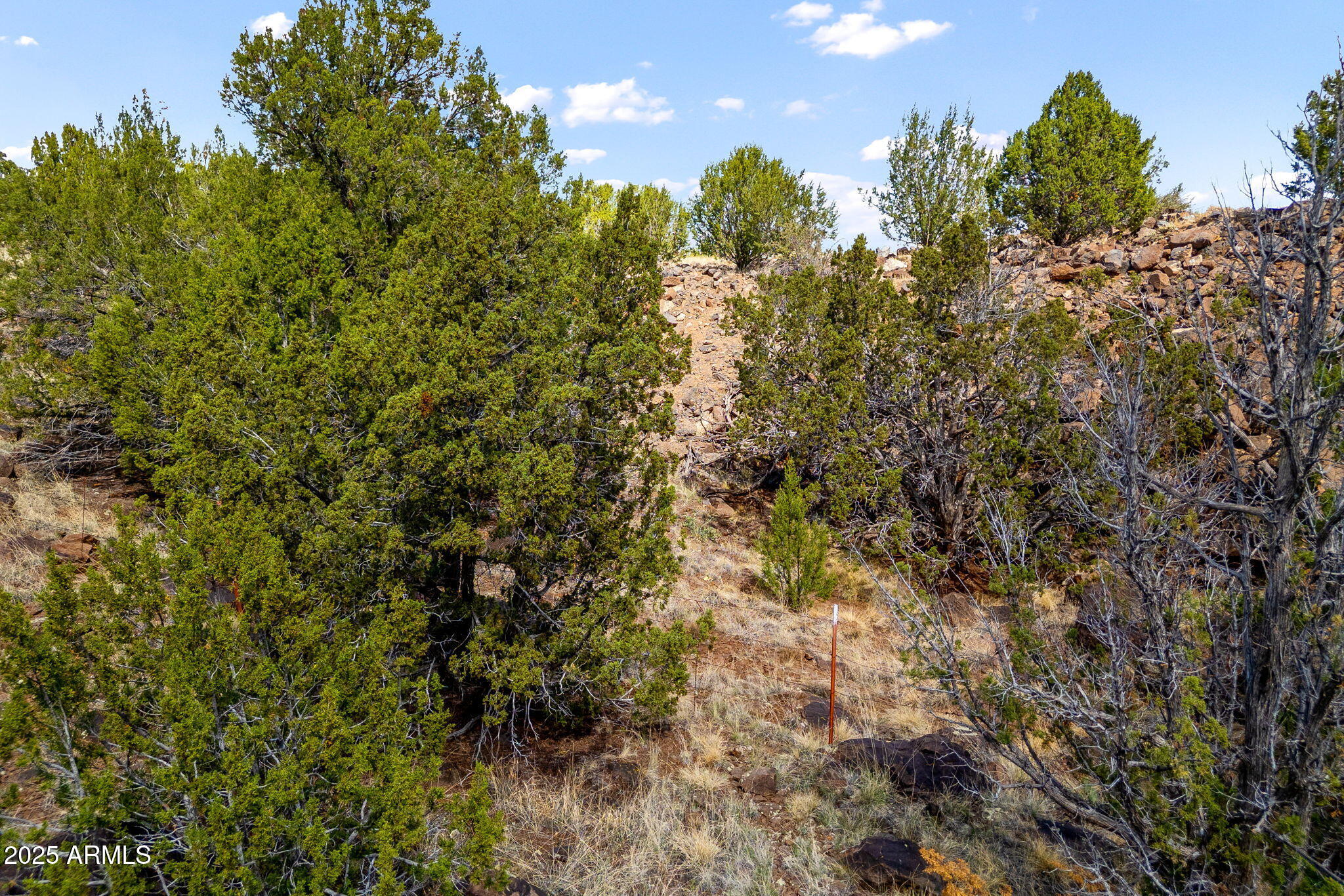 WHITE MOUNTAIN LAKES UNIT 11 - Land