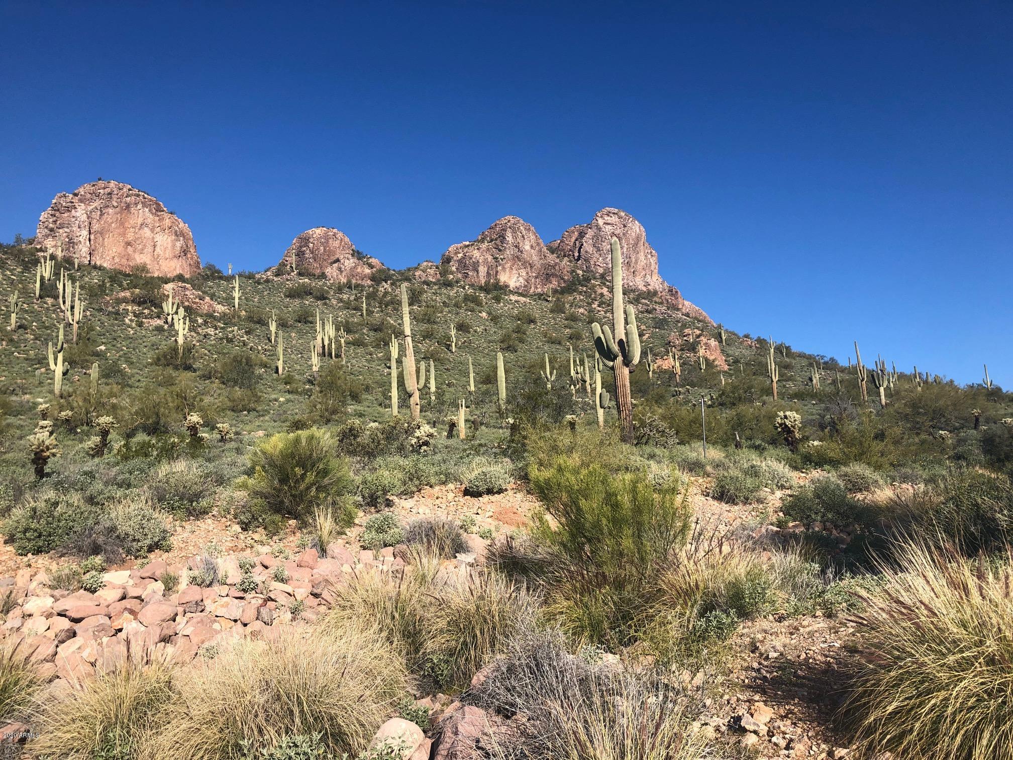GOLD CANYON EAST - Land