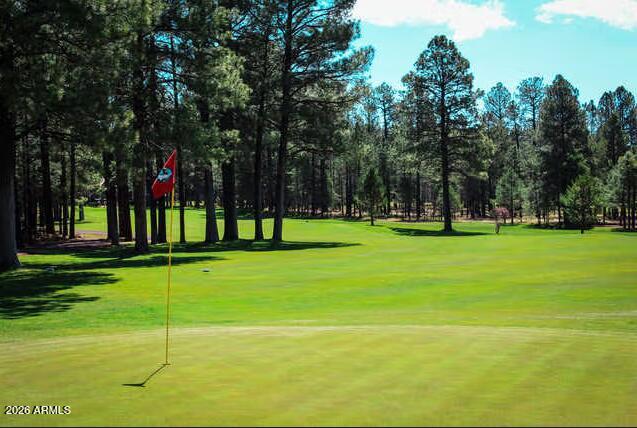 Pinetop Lakes Unit 2 - Residential