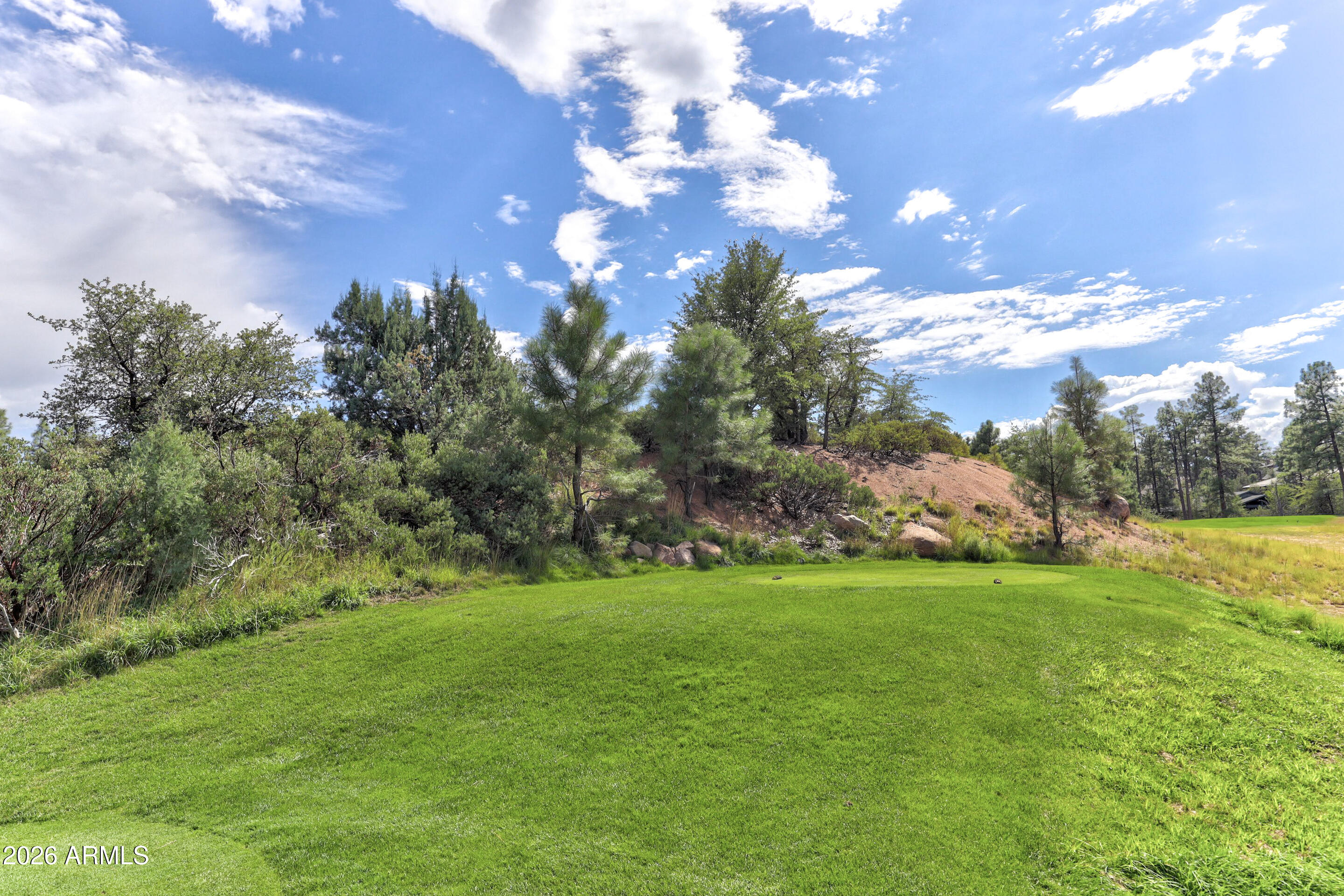 CHAPARRAL PINES PHASE 1 - Land