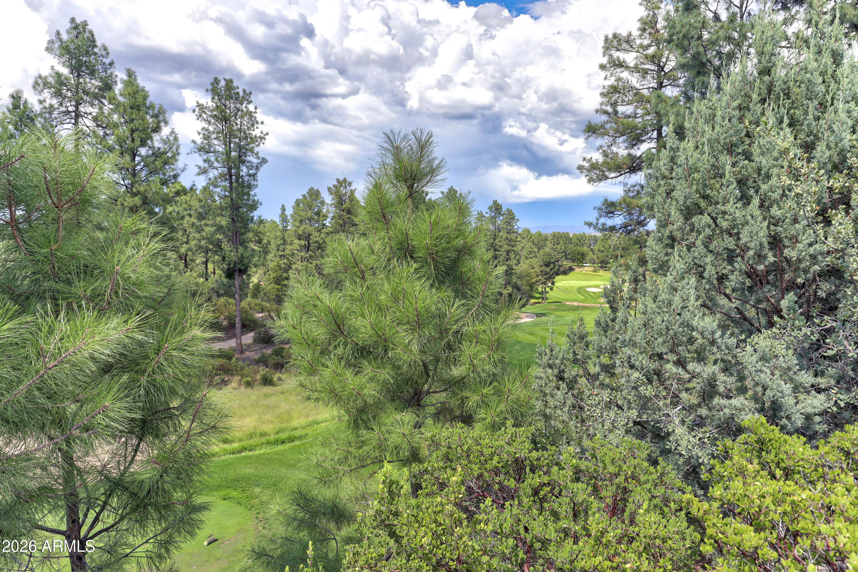 CHAPARRAL PINES PHASE 1 - Land