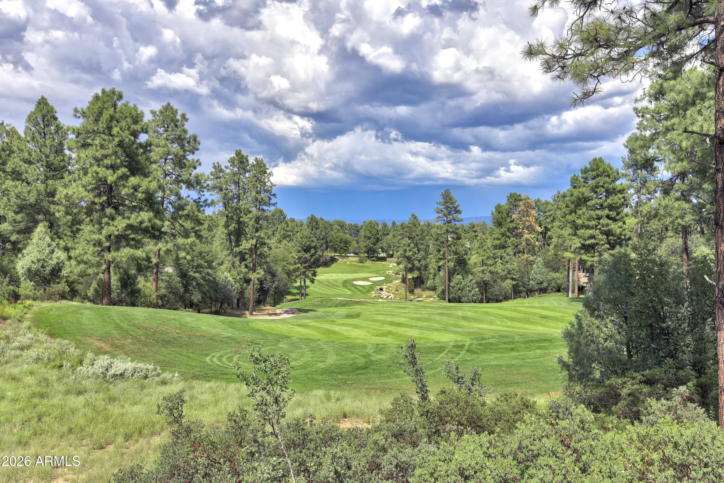 CHAPARRAL PINES PHASE 1 - Land