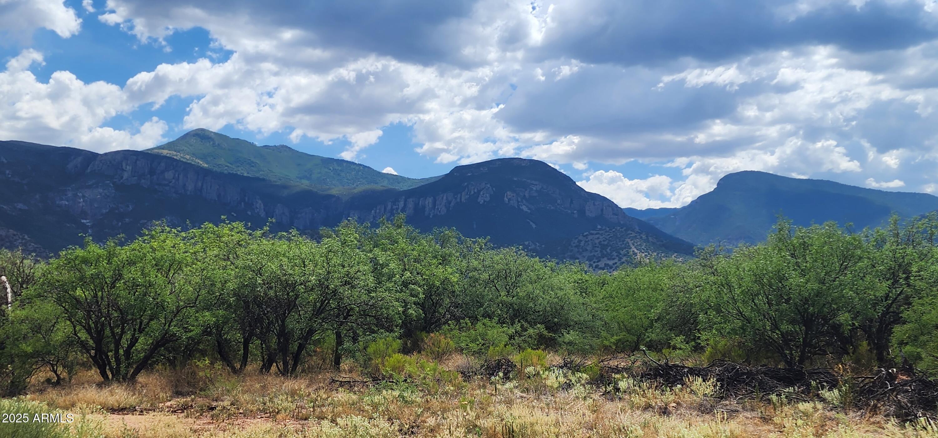 If you are looking for AMAZING mountain views, these lots have it! Each lot is approximately 1 acre. Right off Ramsey Canyon Rd so no long gravel roads. 
Electric is at property line of Lot D. Choose from 4 very wooded lots to build your dream home or offer on all 4 to create privacy or future investment. Seller 
will accept less per lot if all lots are purchased together! Seller is open to helping with a well share with acceptable offer. Comes with 1/5 well share. All 4 acres for sale for $189,900.00 owner carry available. Owner/Agent