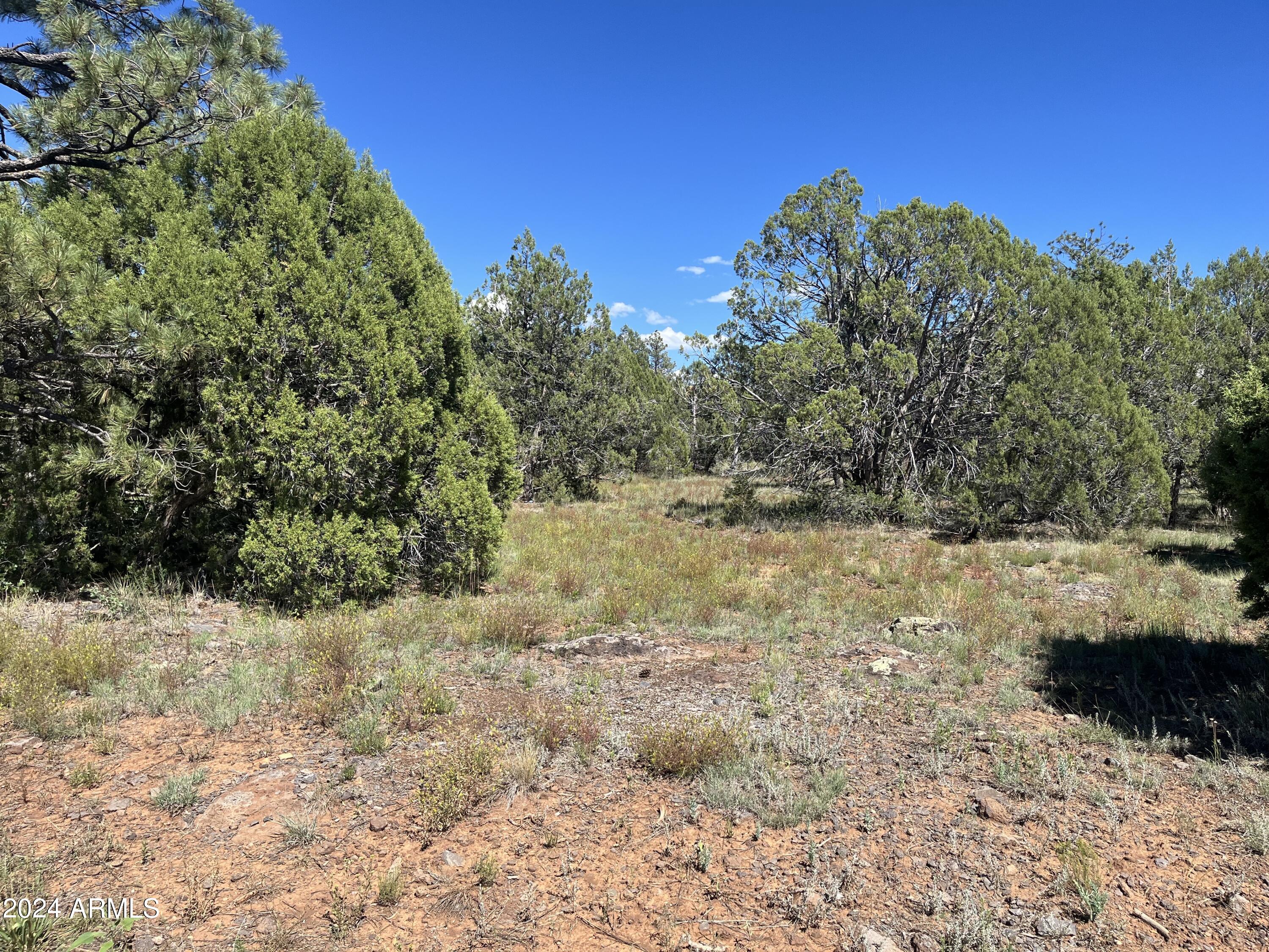 Beautiful wooded lot in the cool White Mountains to build your dream home or bring in a new manufactured home.  Walk to Show Low Lake.