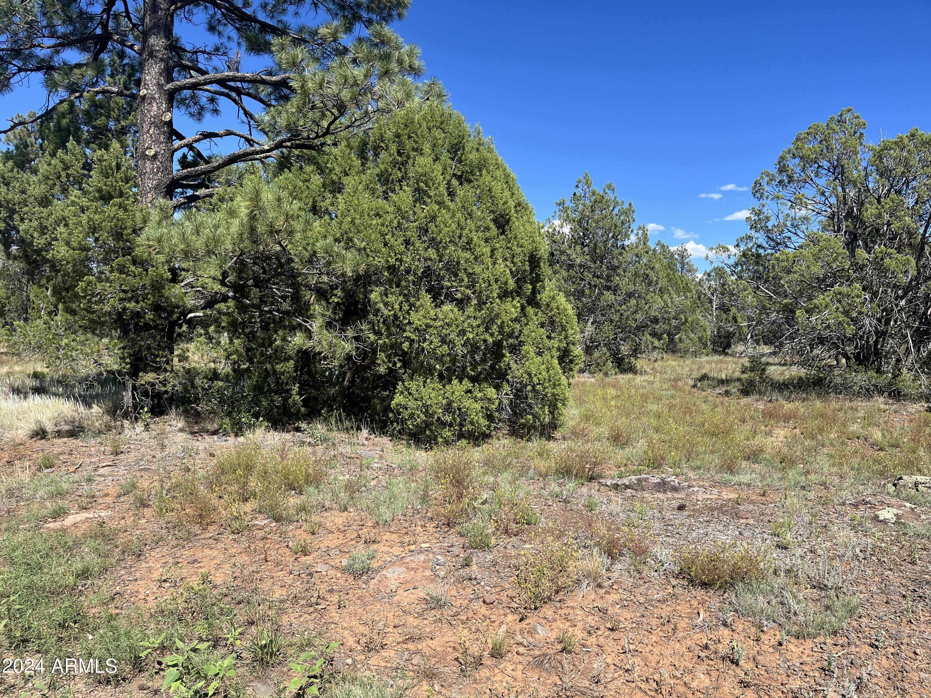 WOLF PINES UNIT 2 - Land