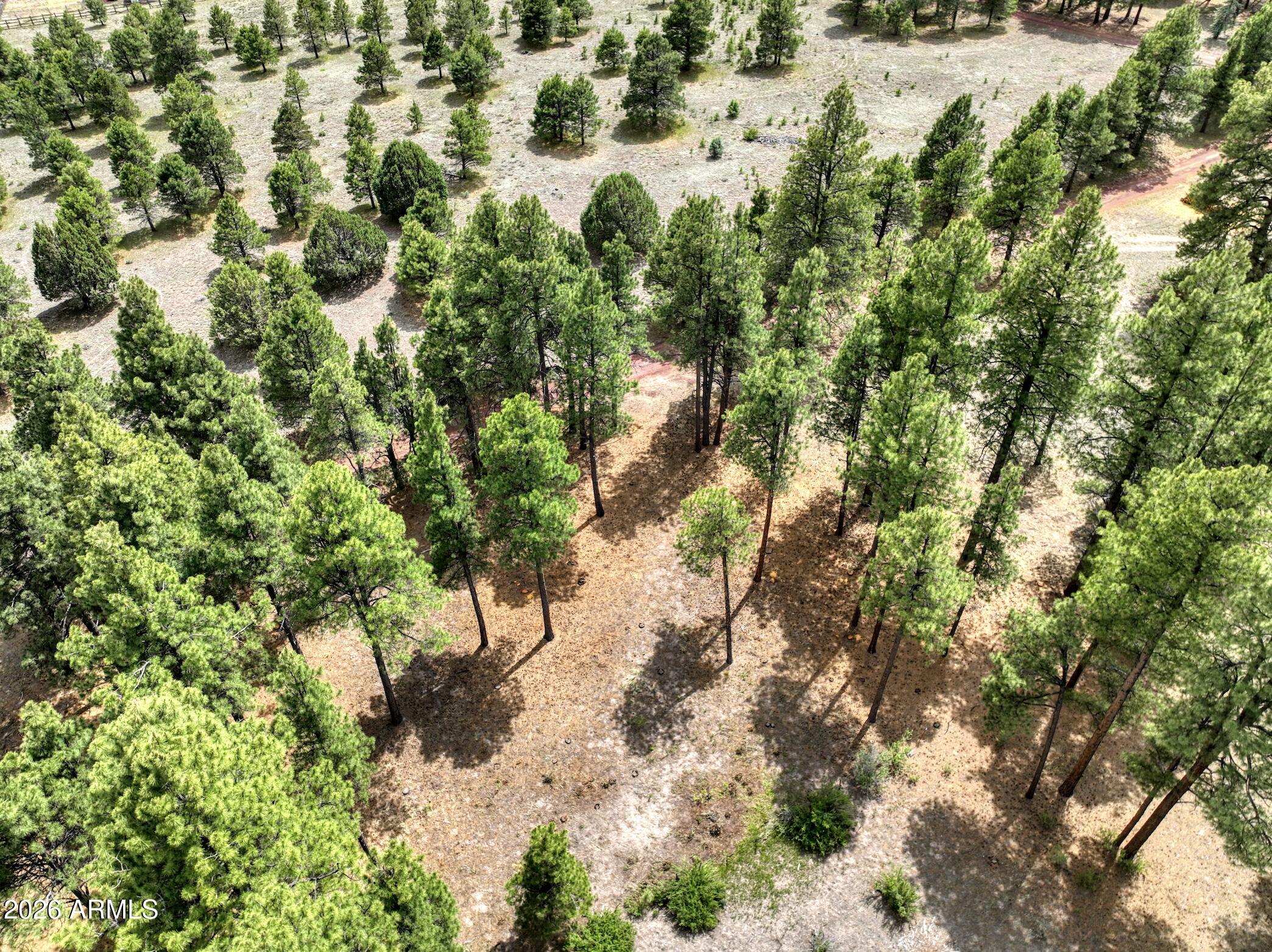 **Escape to Your Own Private Forest Retreat on Historic Route 66!**Nestled among majestic Ponderosa pines in the heart of Coconino
County, this 1.55-acre parcel offers a rare opportunity to own a piece of Arizona's iconic high country landscape. The property features a stunning natural
forest setting with mature Ponderosa pines, a cleared interior area ideal for future development or camping, and a well-established dirt road access point
providing easy entry to the land. Breathtaking panoramic views of the San Francisco Peaks and surrounding volcanic mountains can be enjoyed from above
the treetops, making this an incredibly scenic escape from everyday life. Situated just off Historic Route 66 and minutes from the charming town of Williams
and the gateway to the Grand Canyon, outdoor enthusiasts will love the proximity to world-class hiking, fishing, and year-round recreation. Whether you're dreaming of a cabin retreat, RV getaway, or long-term investment, this slice of northern Arizona paradise, surrounded by towering pines and big Arizona skies is ready and waiting for its next chapter.