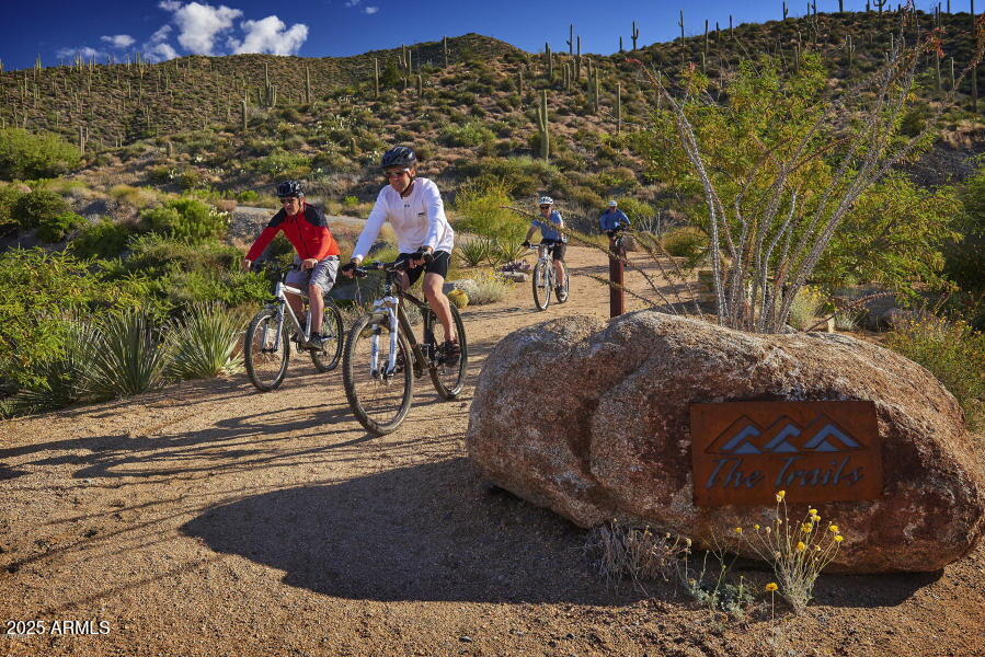 DESERT MOUNTAIN - Land