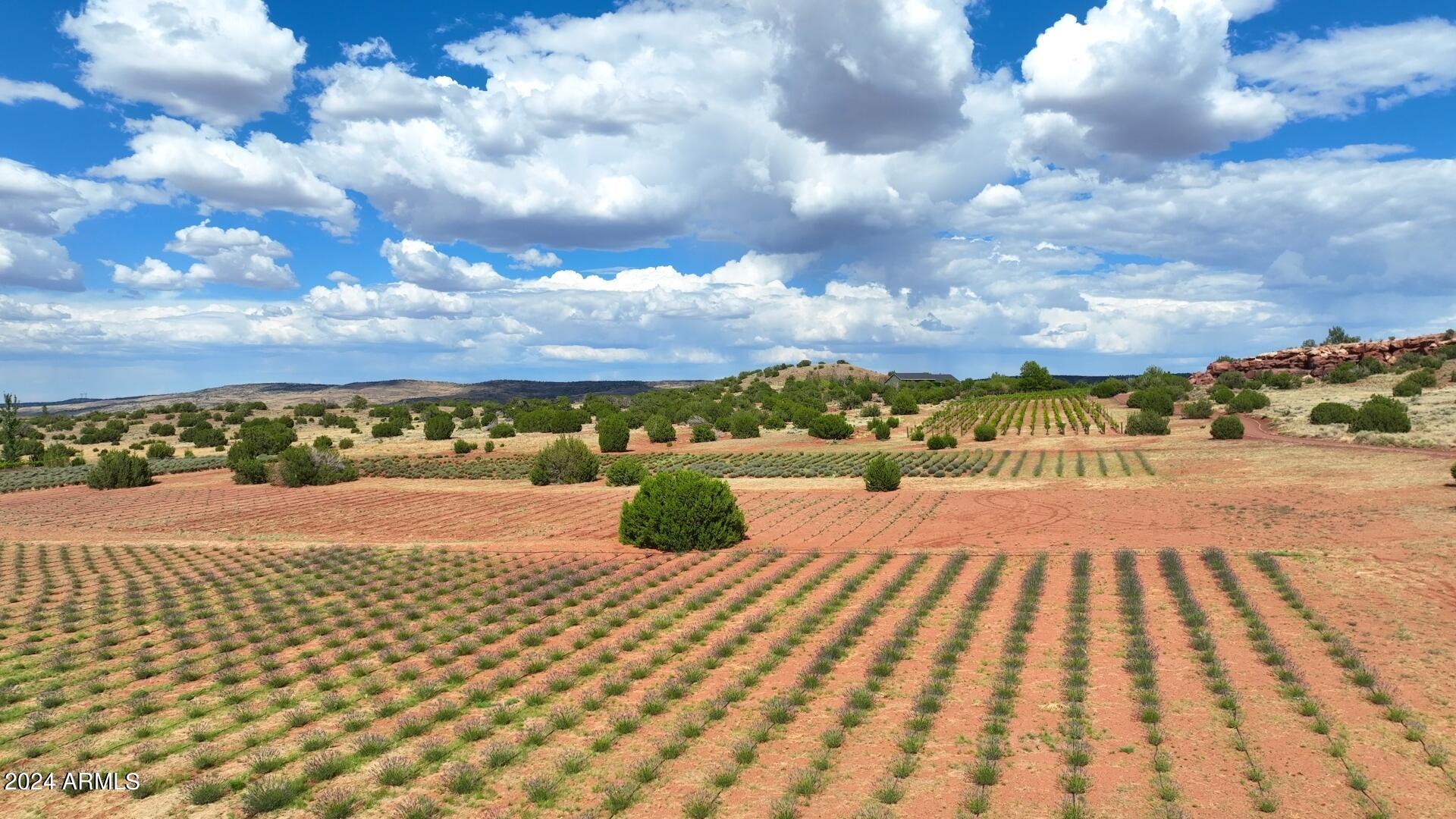 RANCHO ALEGRE - Residential