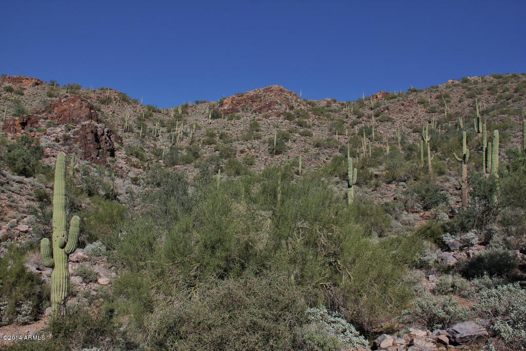 Silverleaf at DC Ranch - Land