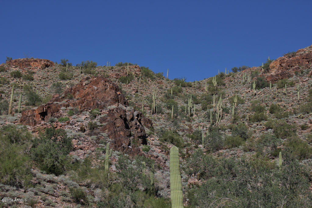 Silverleaf at DC Ranch - Land