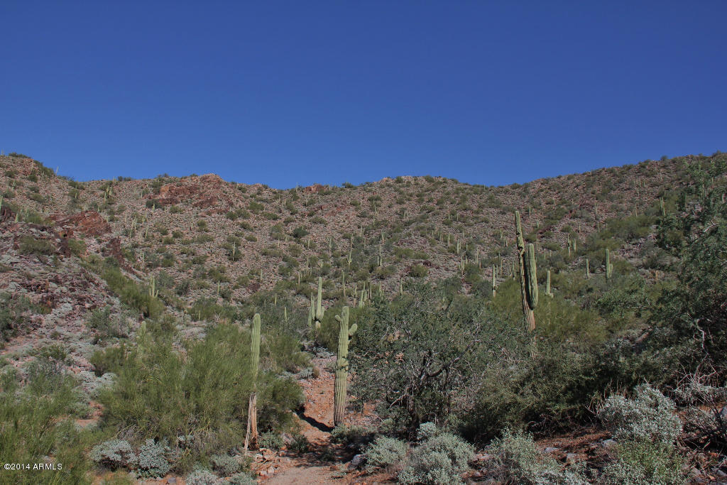 Silverleaf at DC Ranch - Land