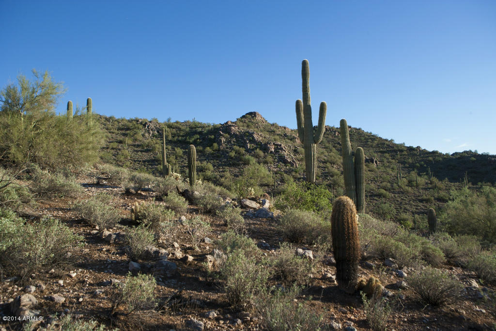 Silverleaf at DC Ranch - Land
