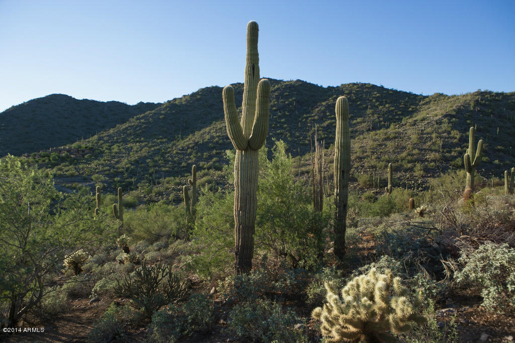 Silverleaf at DC Ranch - Land