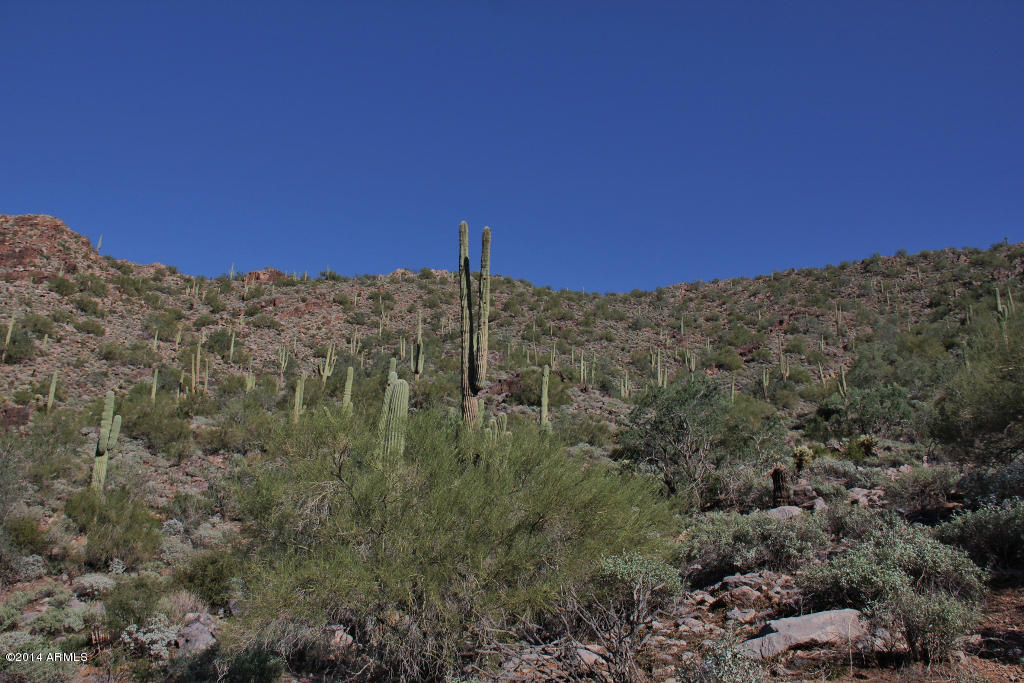 Silverleaf at DC Ranch - Land