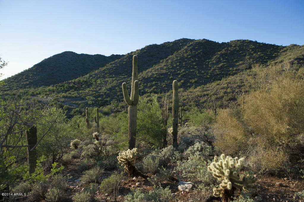 Silverleaf at DC Ranch - Land
