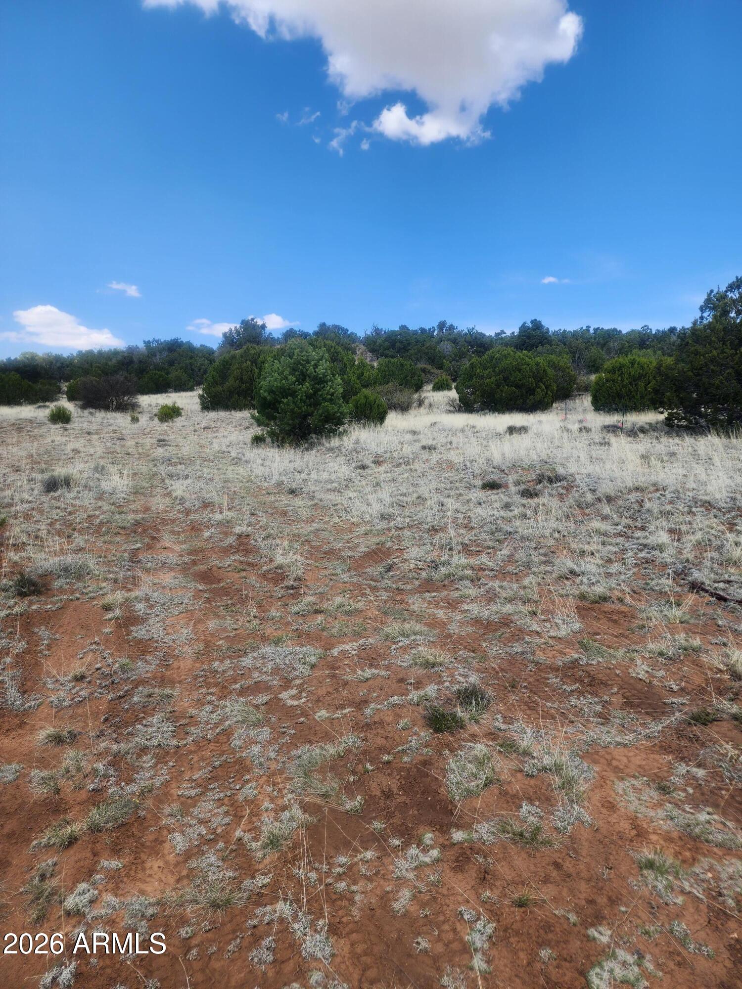 SHOW LOW PINES UNIT 6 - Land