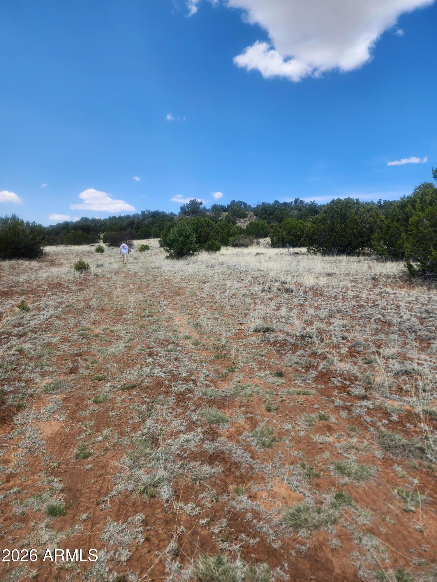 SHOW LOW PINES UNIT 6 - Land