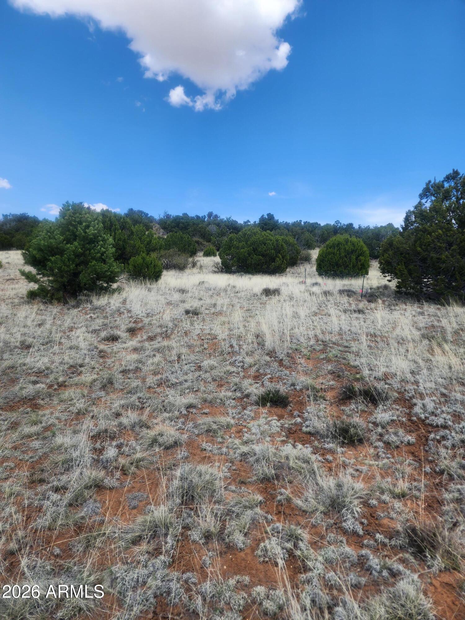 SHOW LOW PINES UNIT 6 - Land