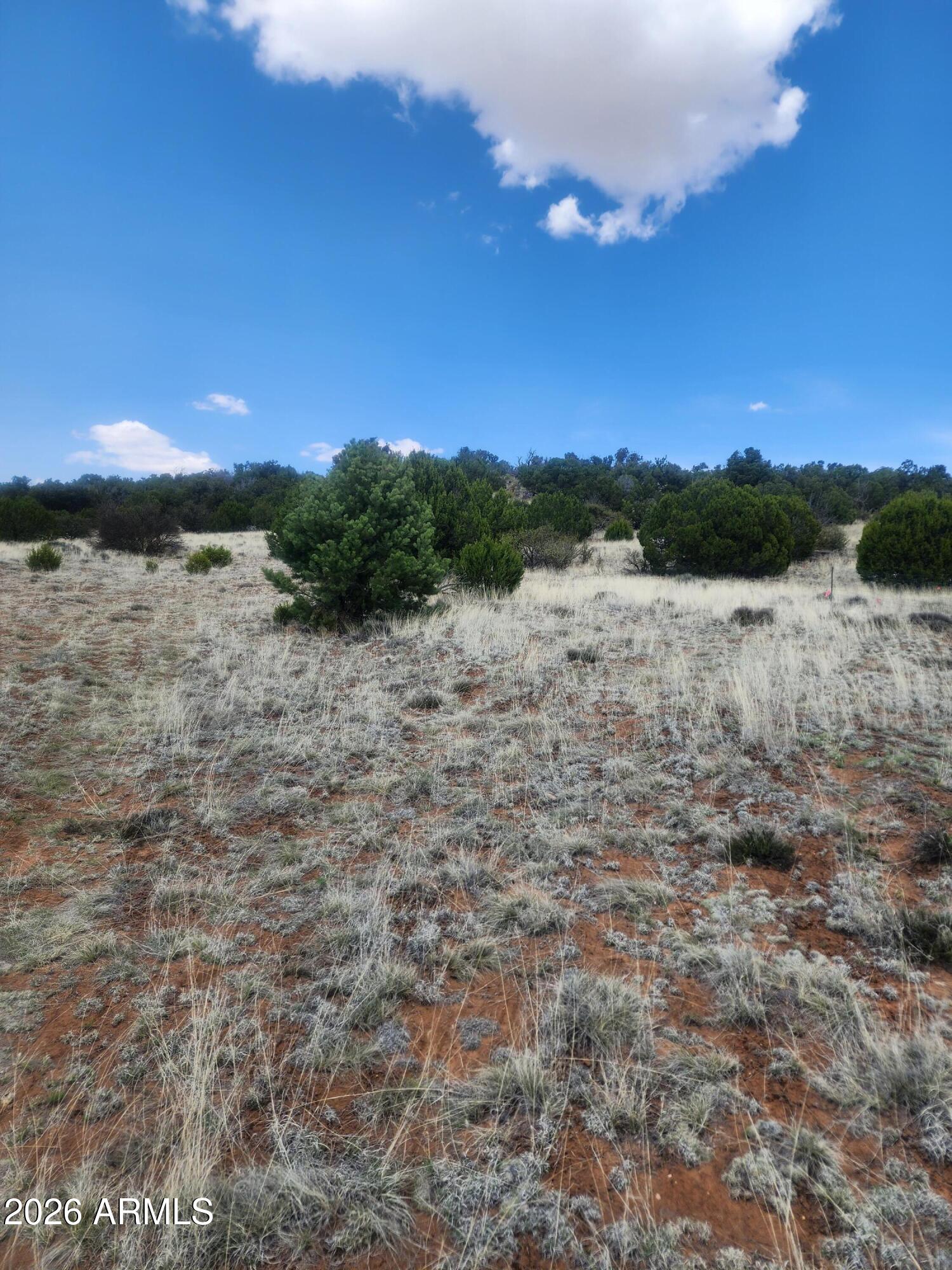SHOW LOW PINES UNIT 6 - Land
