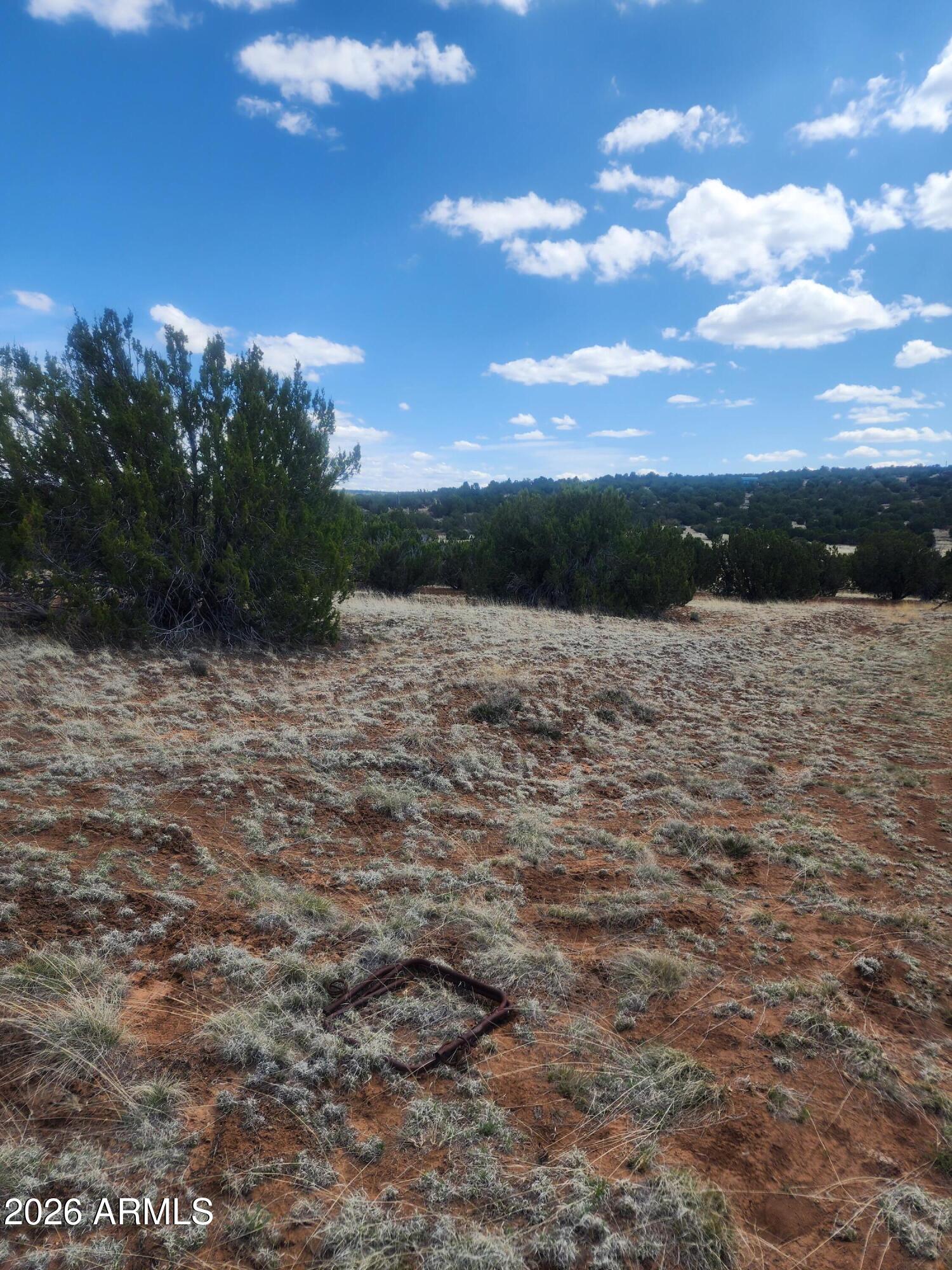 SHOW LOW PINES UNIT 6 - Land