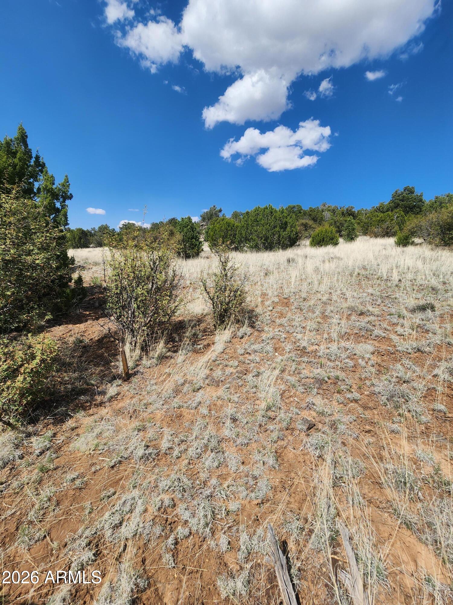 SHOW LOW PINES UNIT 6 - Land