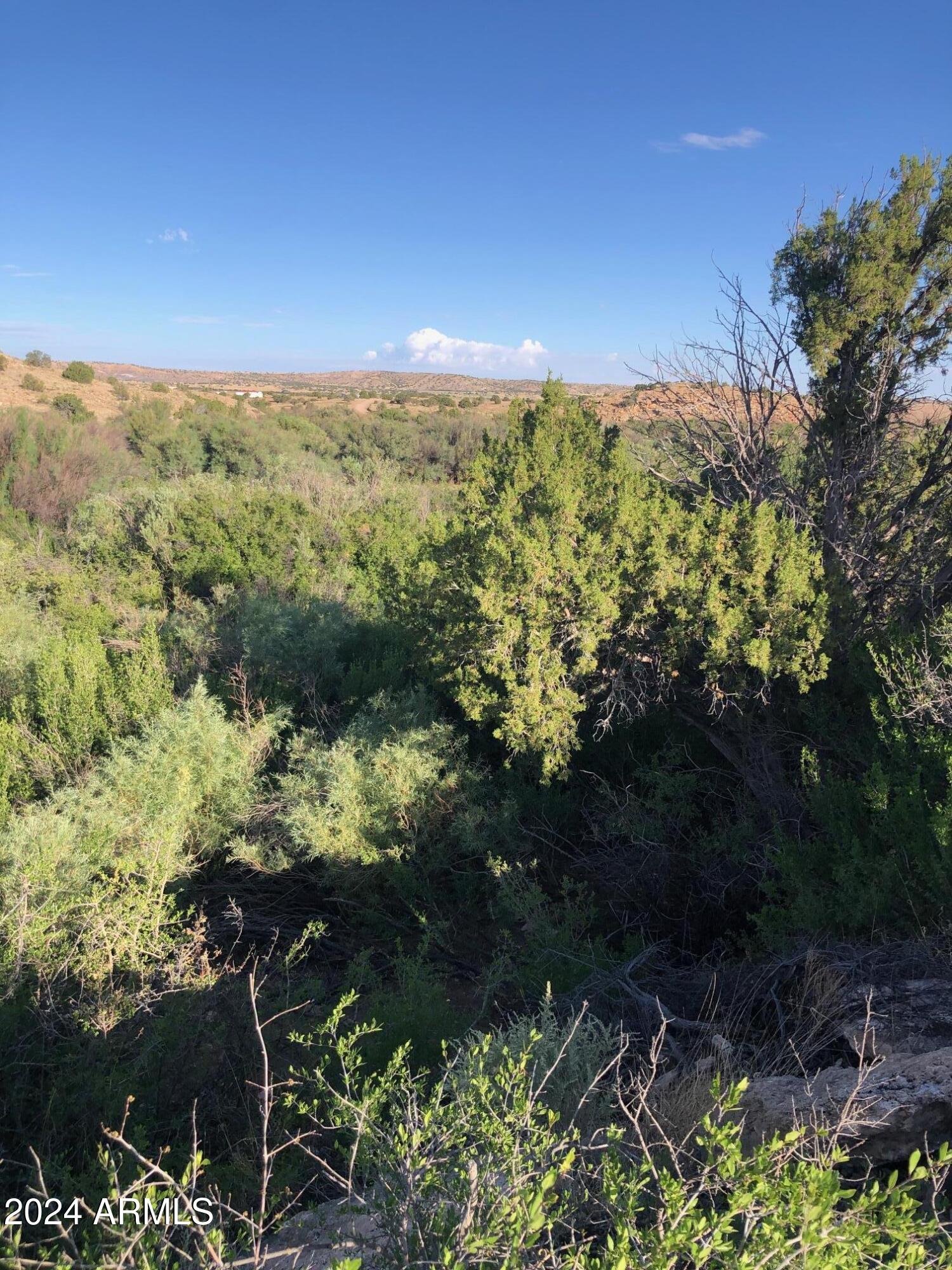 RIVER SPRINGS RANCH UNIT 3 - Land