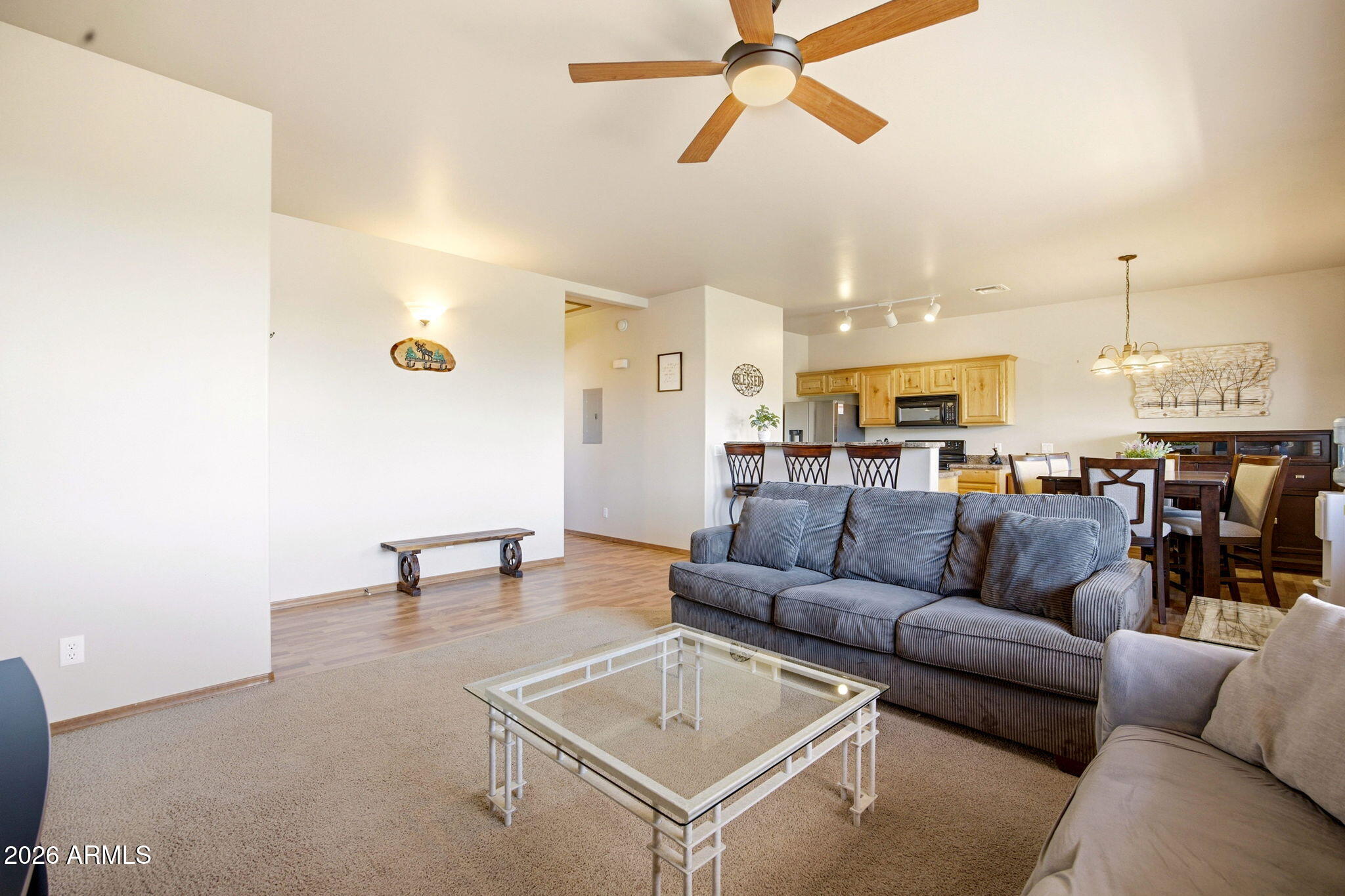 THE OVERLOOK AT BISON RIDGE - Residential