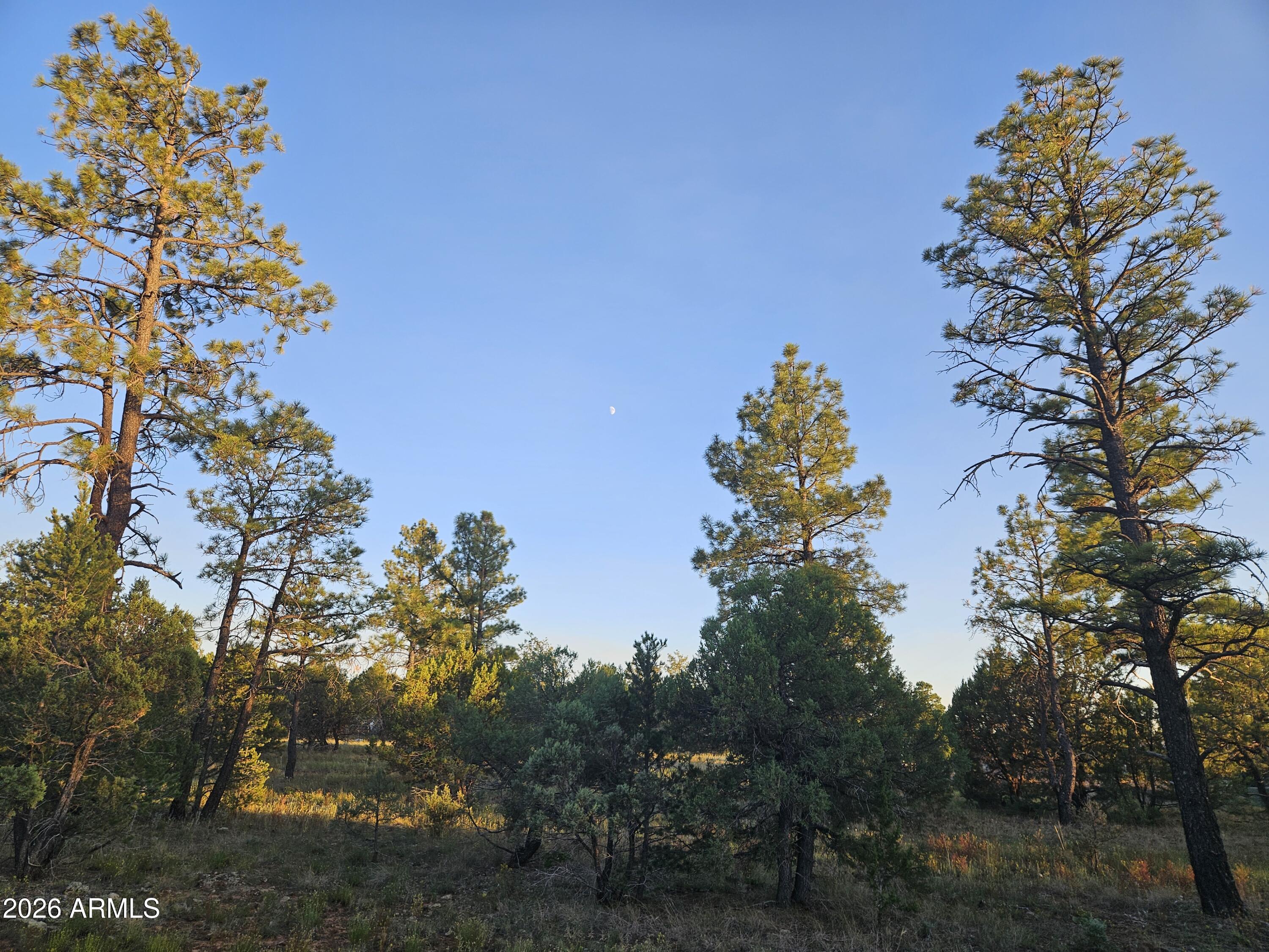 WOLF PINES UNIT 2 - Residential