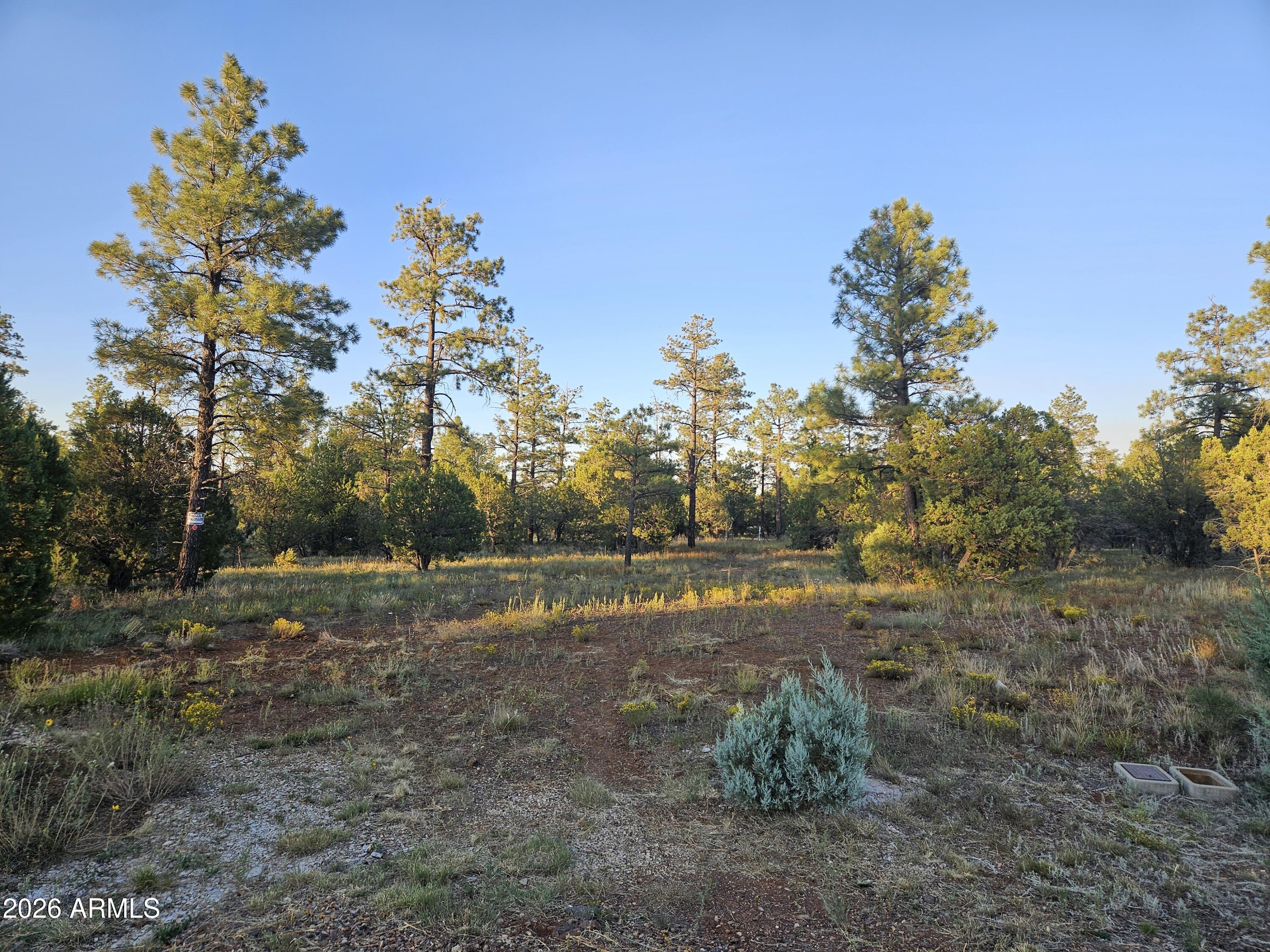 WOLF PINES UNIT 2 - Residential