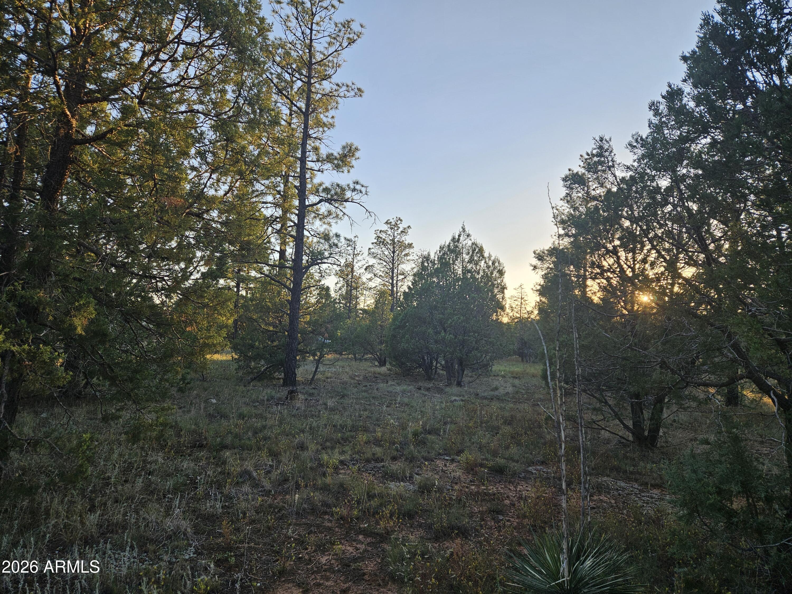 WOLF PINES UNIT 2 - Residential