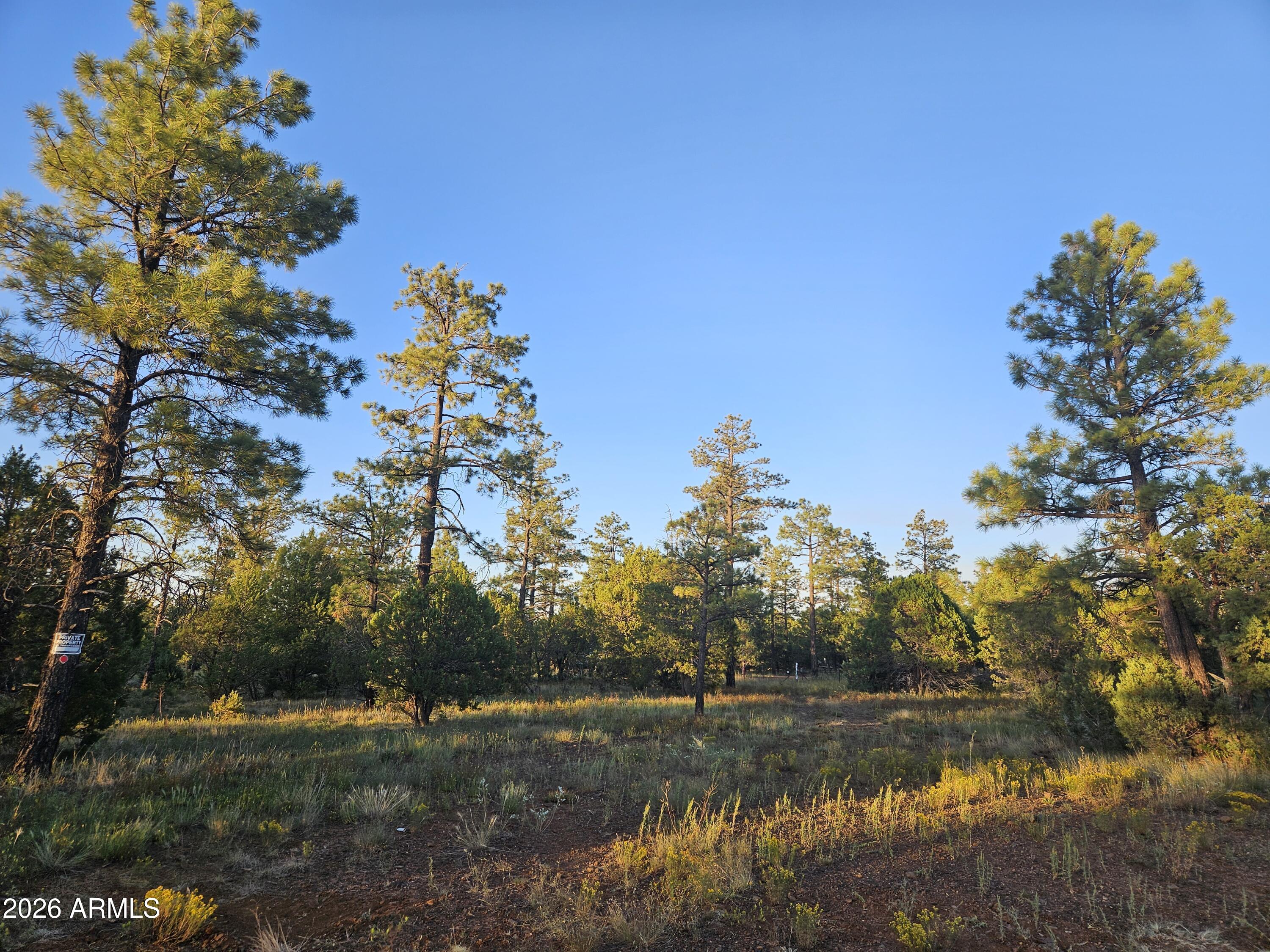 WOLF PINES UNIT 2 - Residential