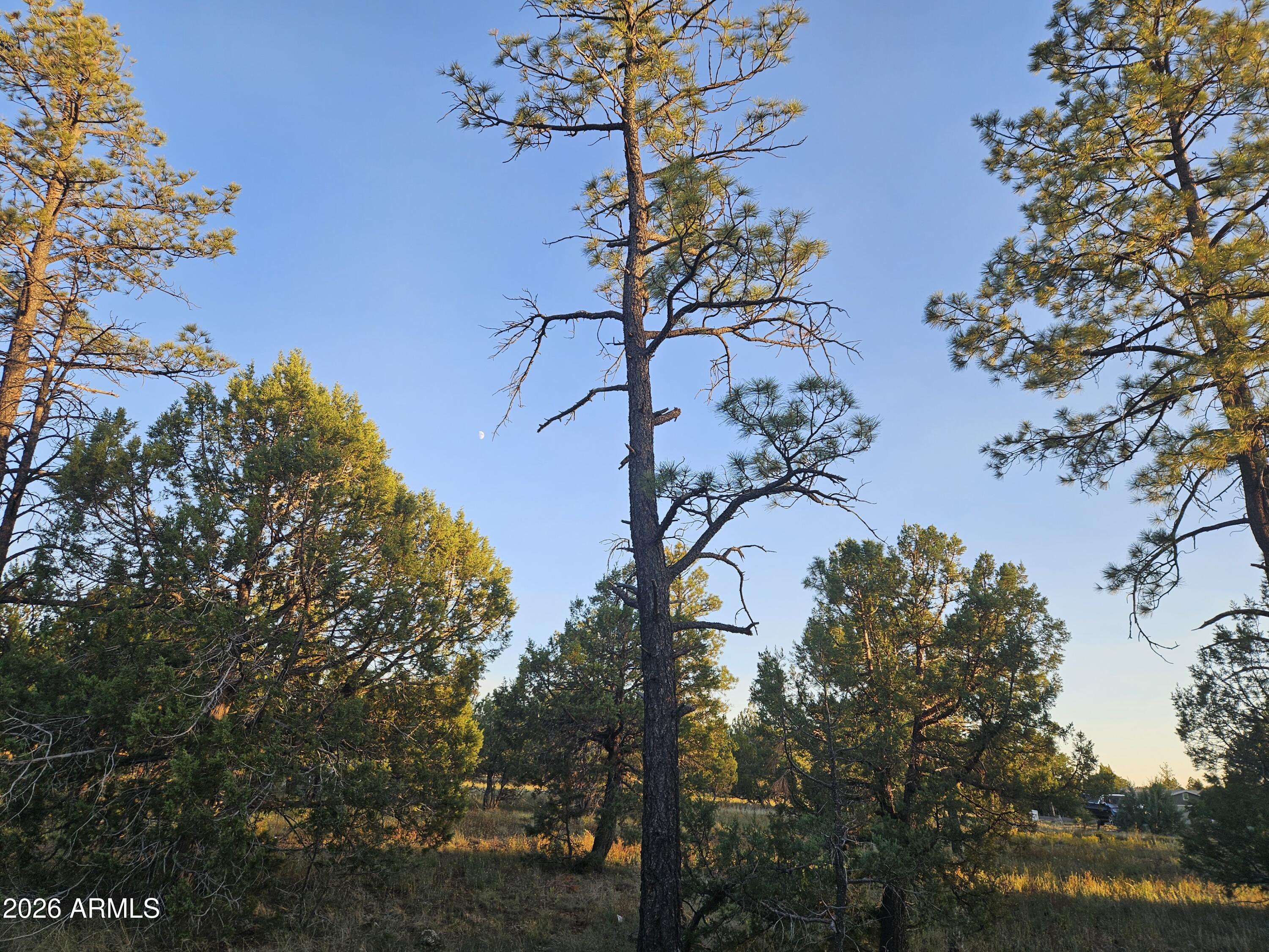 WOLF PINES UNIT 2 - Residential