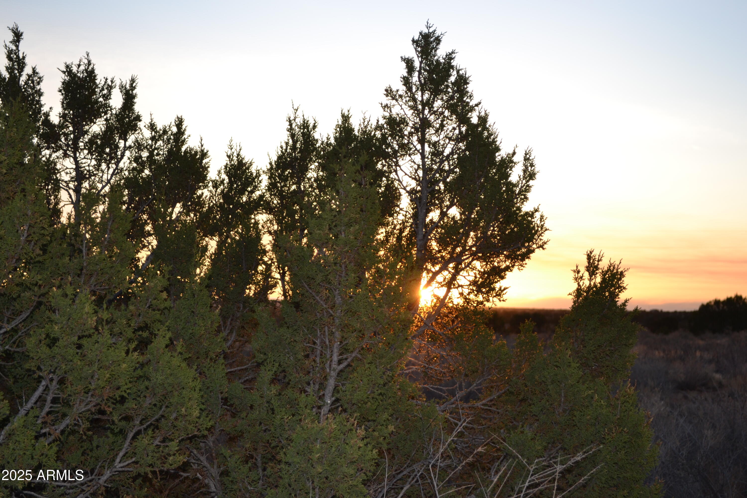 Sierra Highlands Ranch - Land