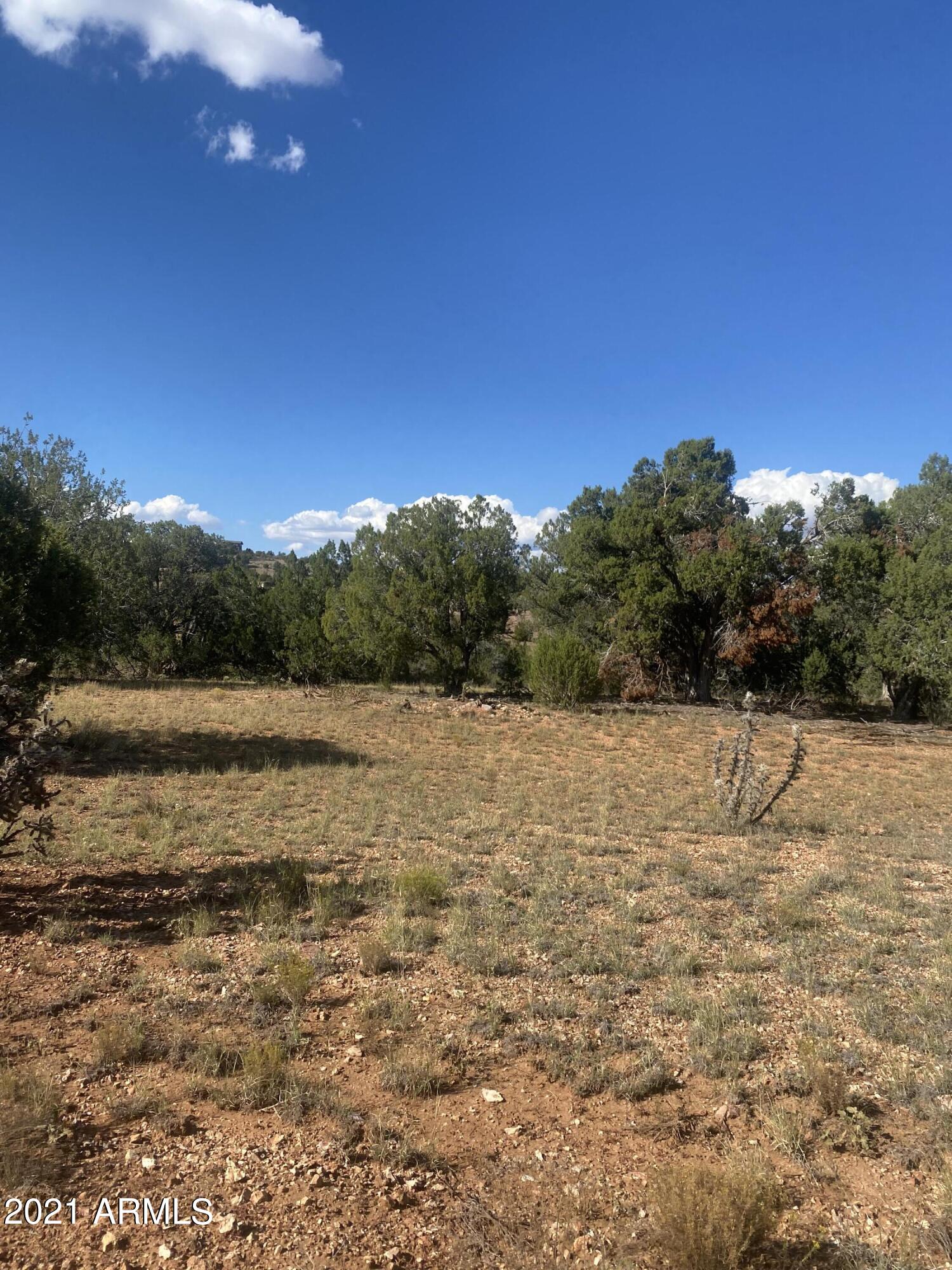 BRIDGE CANYON COUNTRY ESTATES UNIT 24 - Land