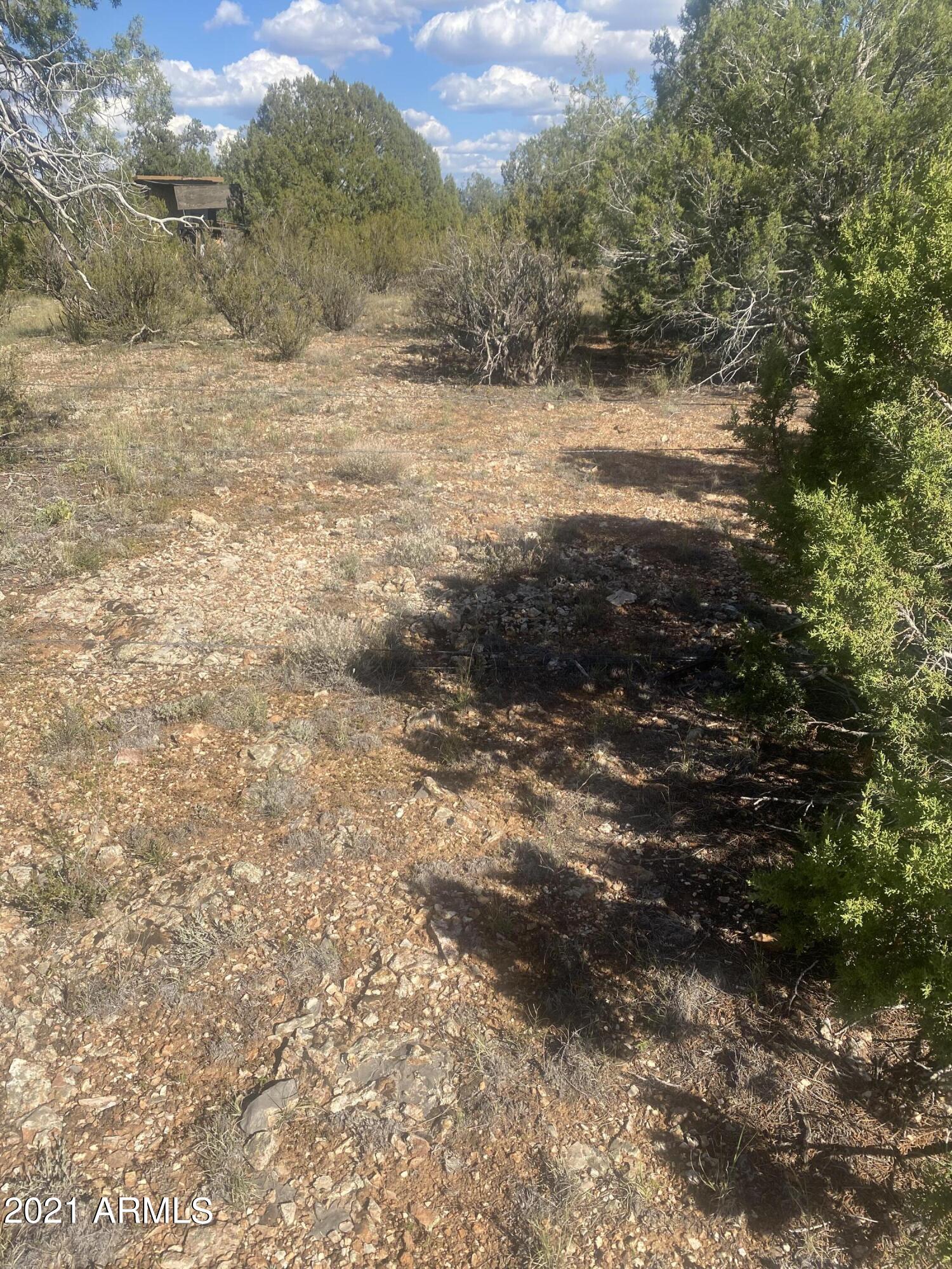BRIDGE CANYON COUNTRY ESTATES UNIT 24 - Land