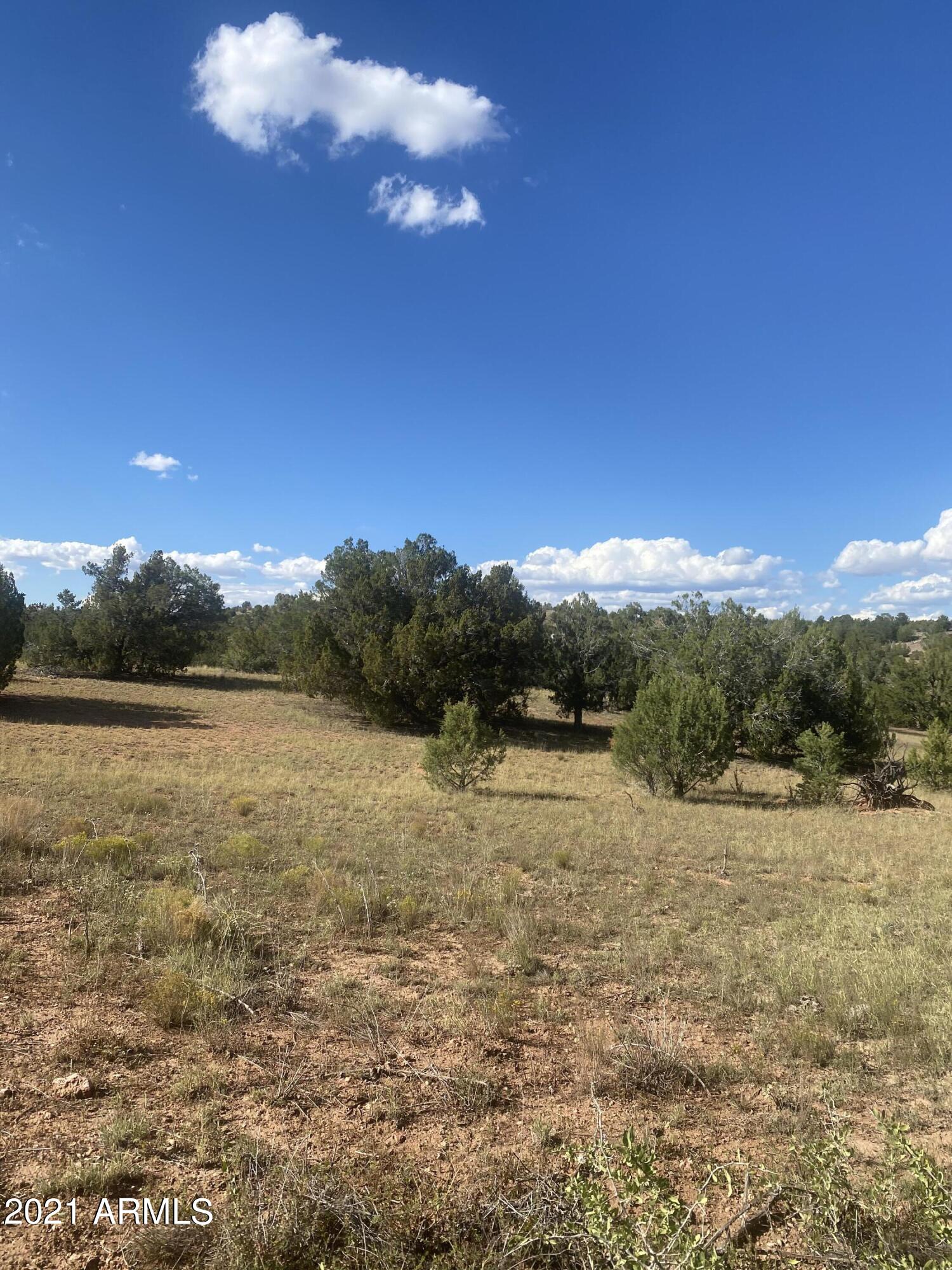 BRIDGE CANYON COUNTRY ESTATES UNIT 24 - Land