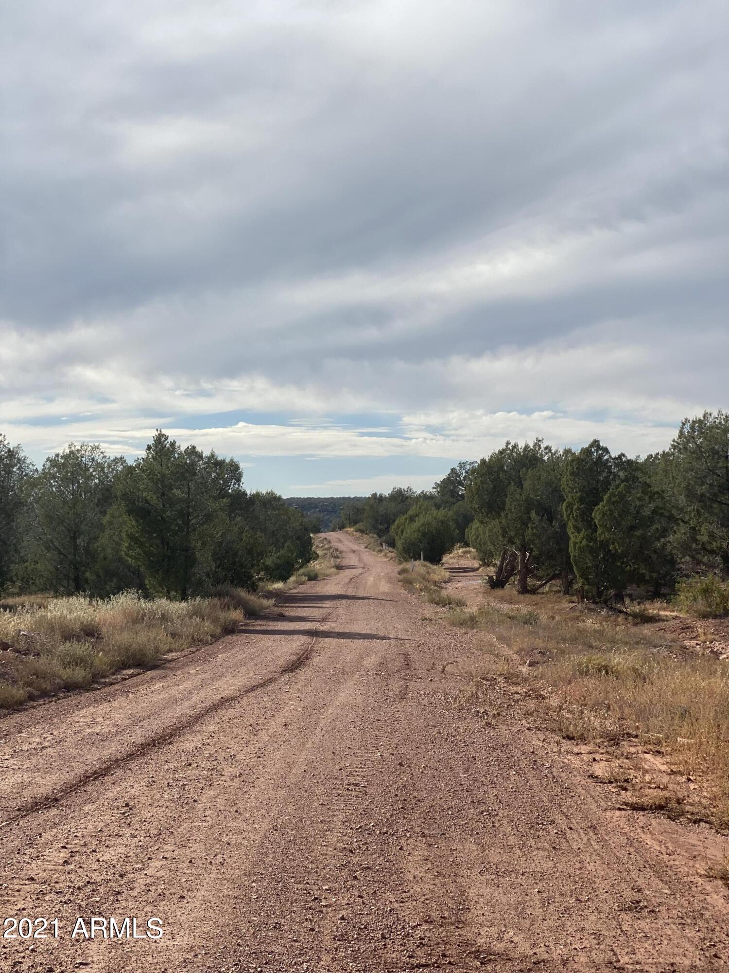 BRIDGE CANYON COUNTRY ESTATES UNIT 24 - Land