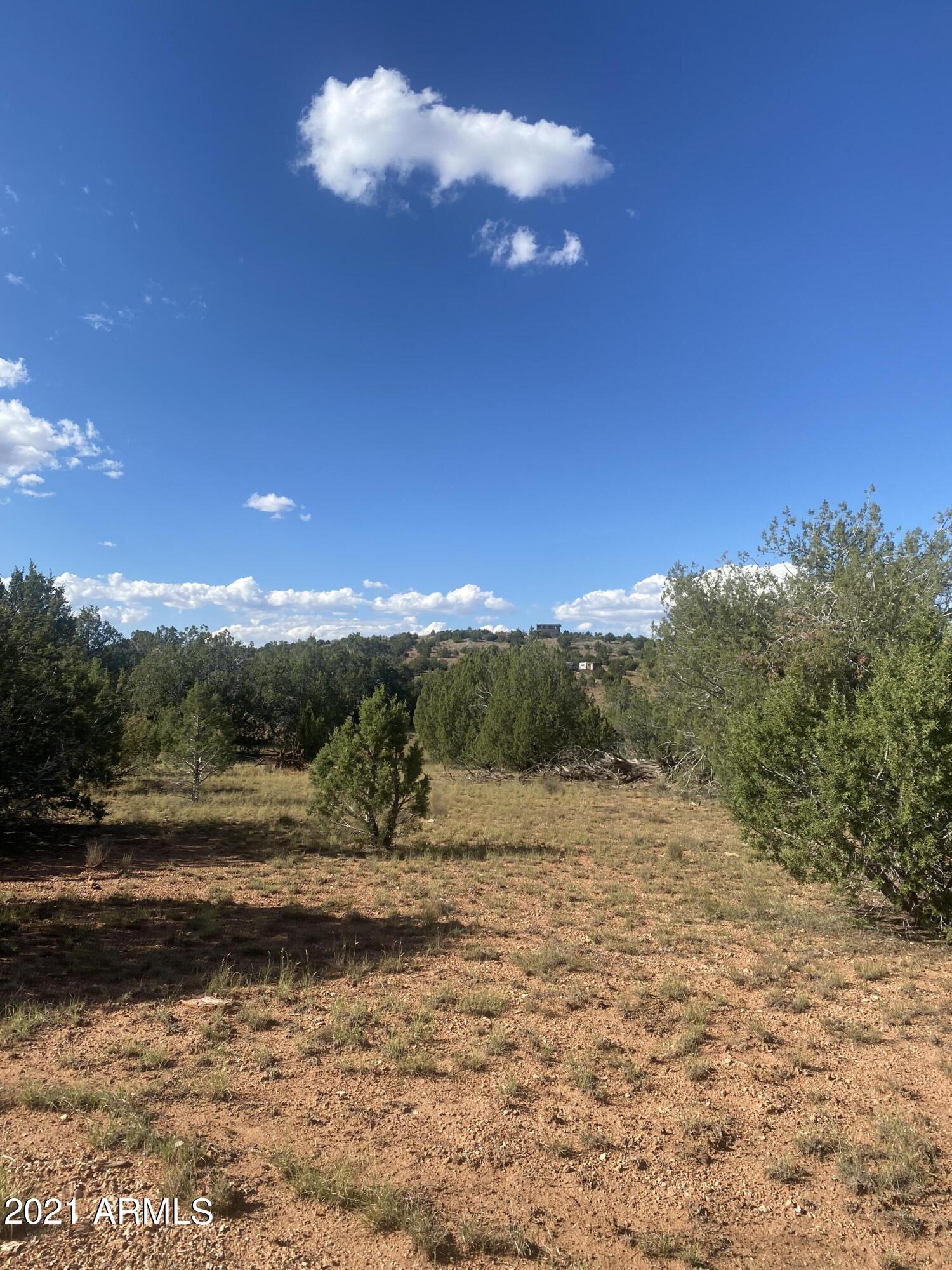 This 1.62 acre lot with mountain views. a good amount of trees is 30 minutes from town, can drive a car to this location, there are  2 parcels are available.