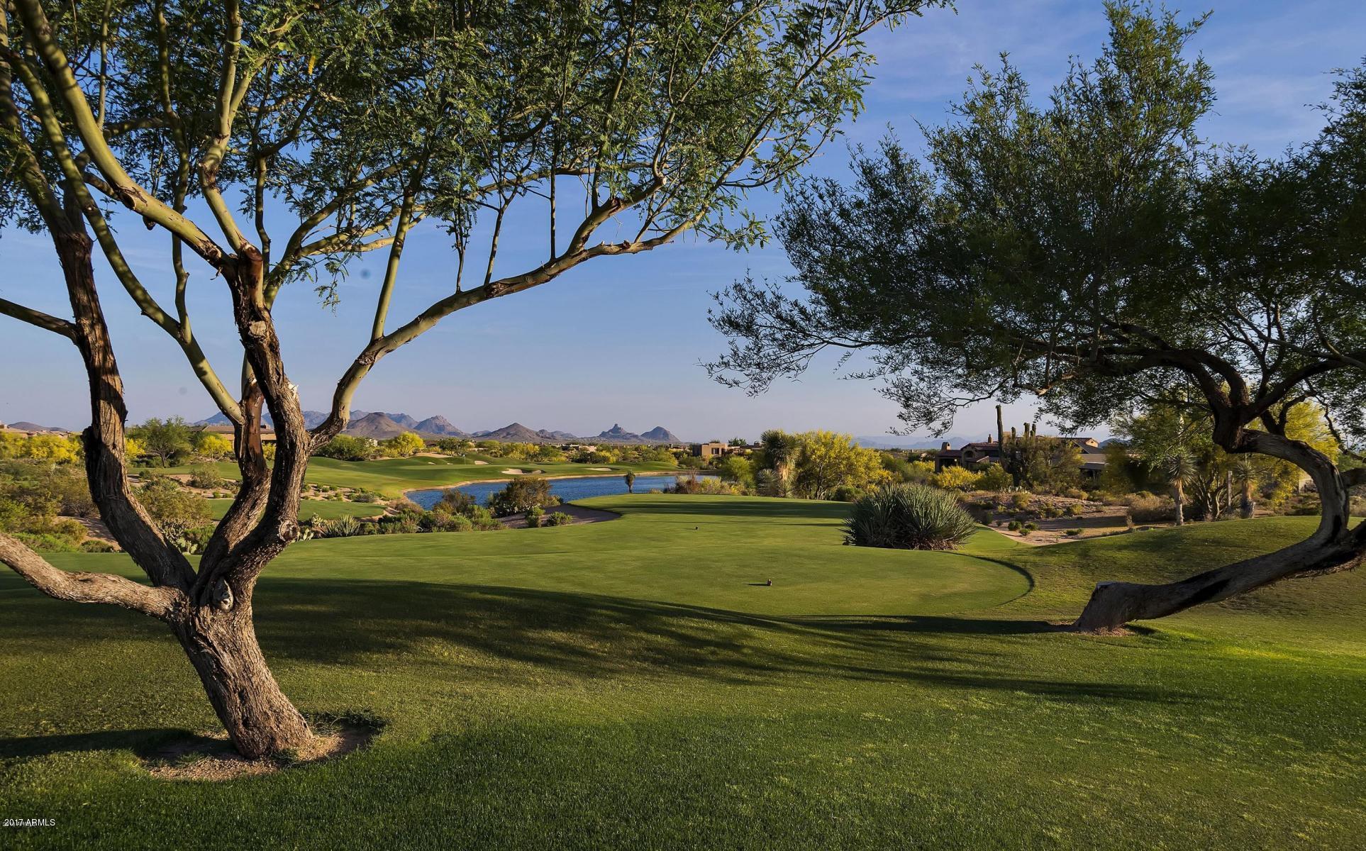 Desert Mountain - Residential
