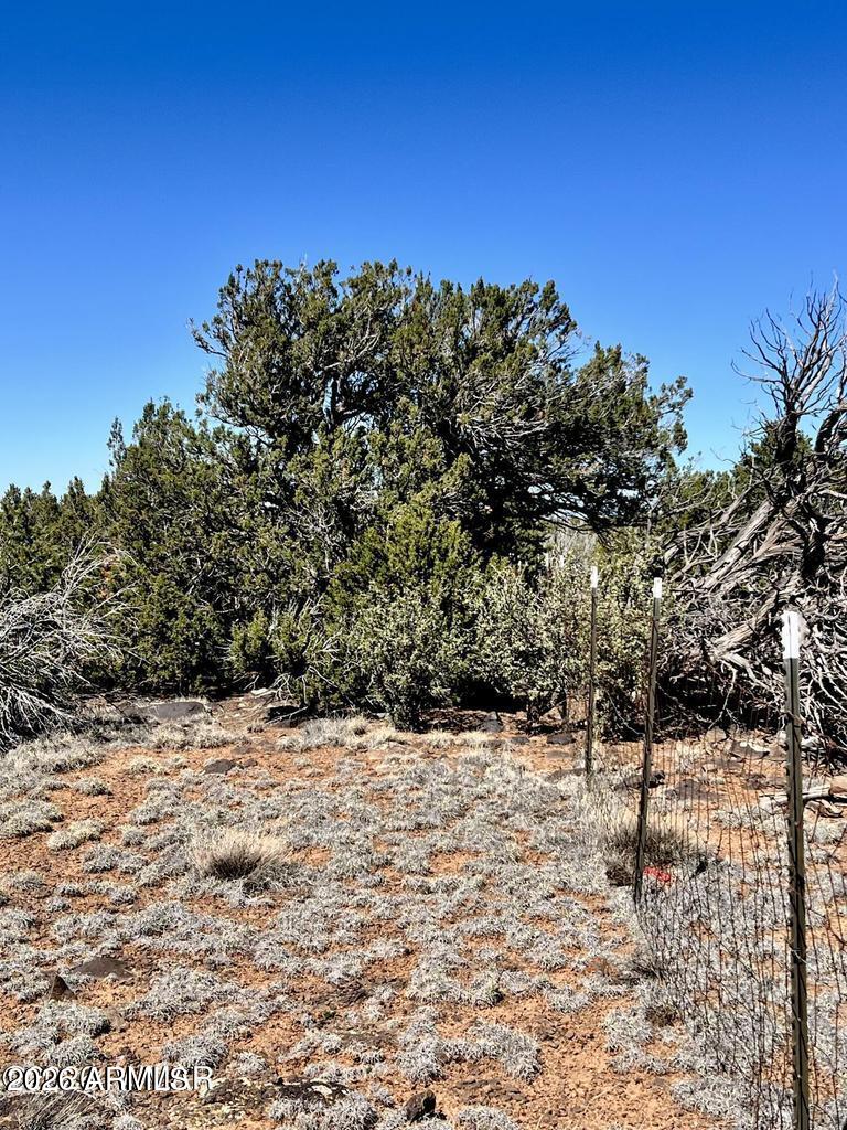 Show Low Pines - Land