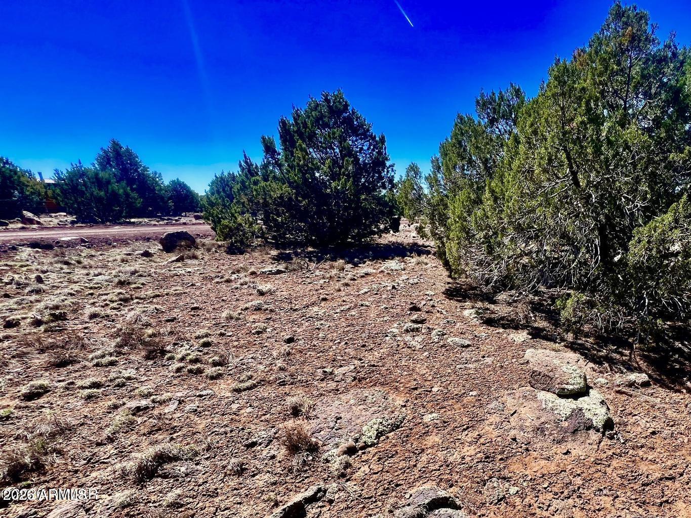 Show Low Pines - Land