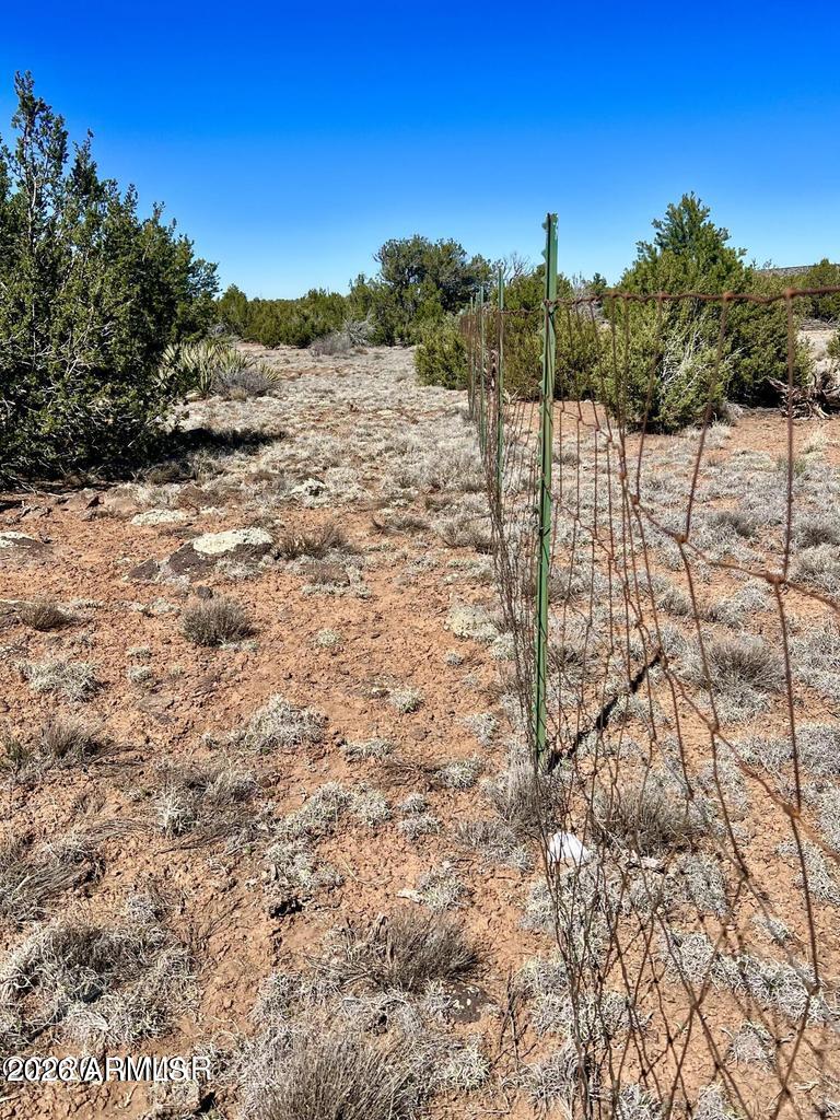 Show Low Pines - Land