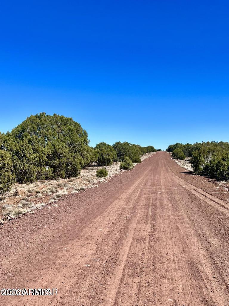 Show Low Pines - Land